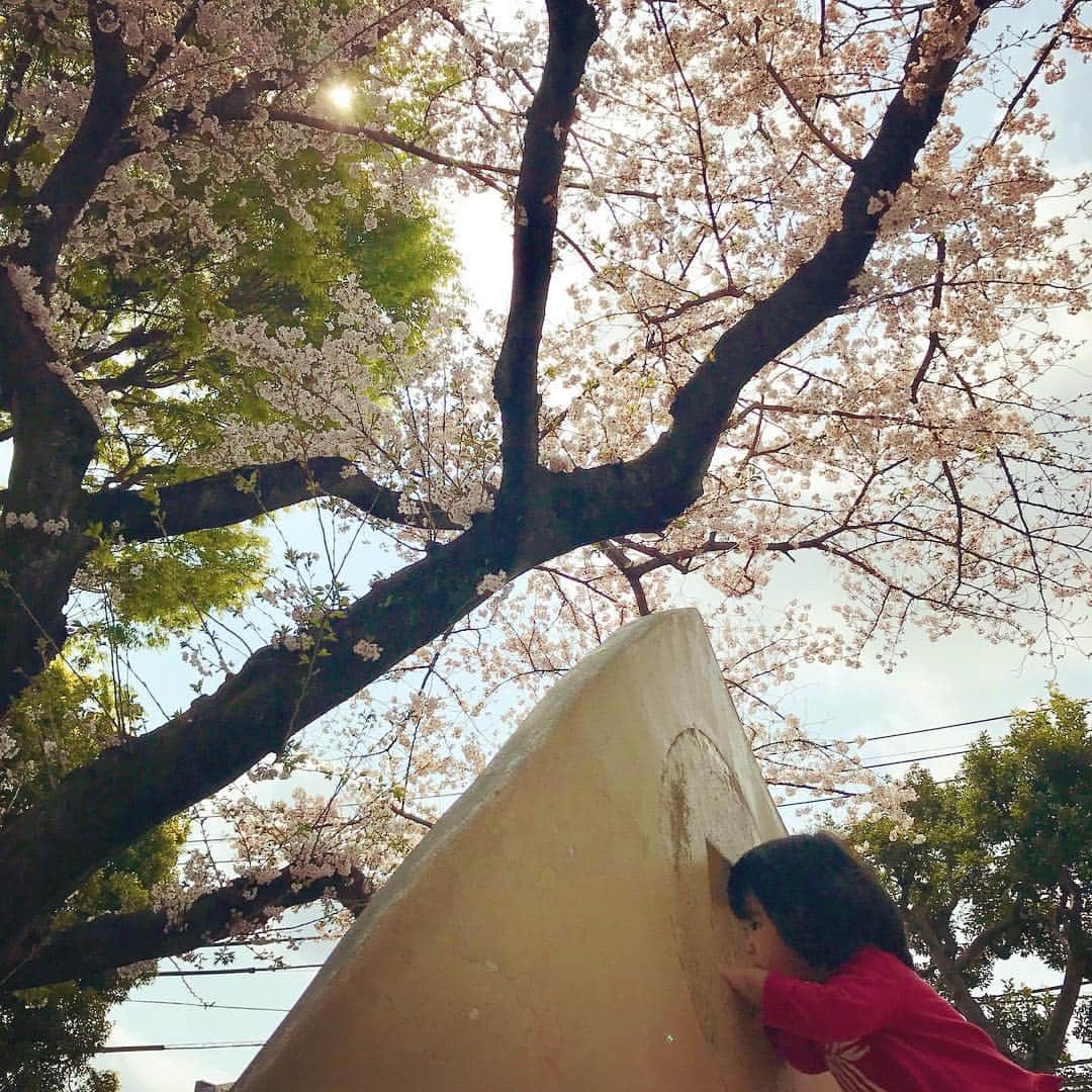 門脇舞以さんのインスタグラム写真 - (門脇舞以Instagram)「春爛漫🌸 #2歳2ヶ月 #5歳4ヶ月 #桜」4月7日 18時41分 - kadomaita