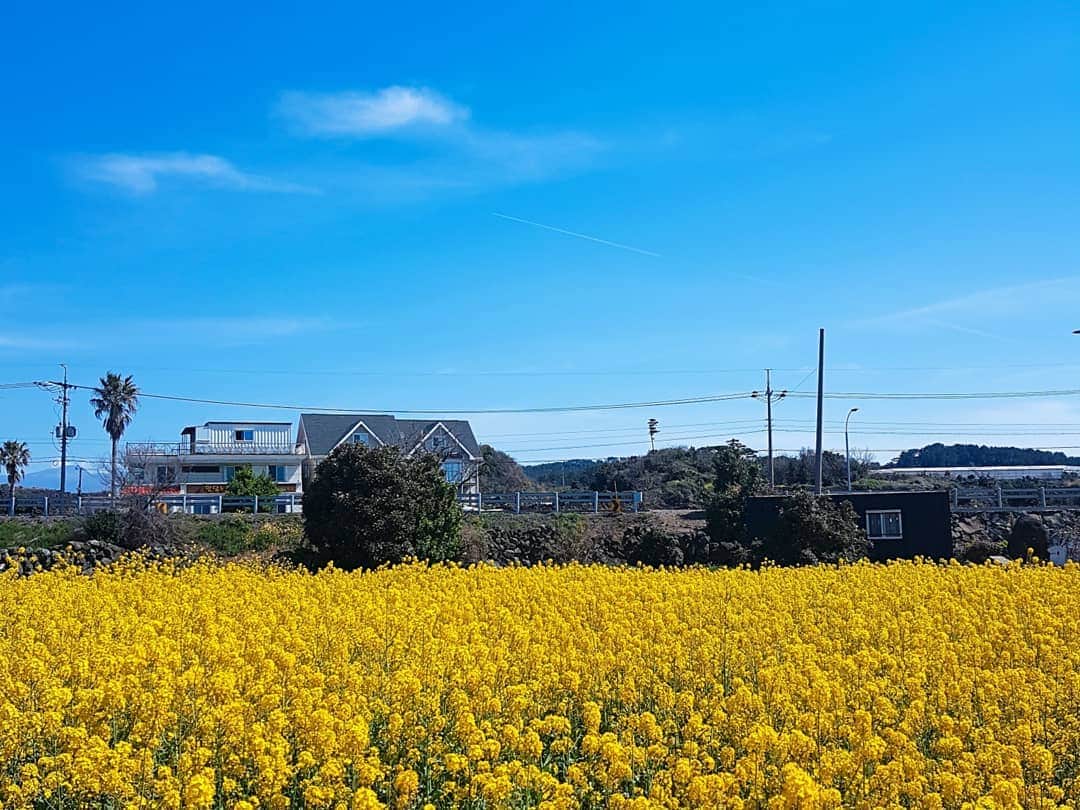 ギグァンさんのインスタグラム写真 - (ギグァンInstagram)「좋은 사람 좋은 추억」4月7日 18時47分 - gttk0000