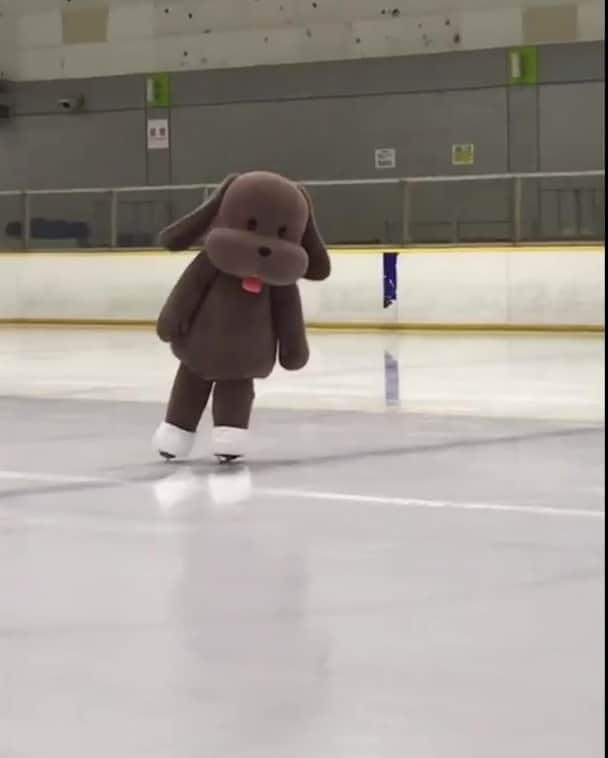 ユーリ!!! on ICEのインスタグラム：「🔥ユーリ!!! on ICE  #国別対抗戦2019 全力応援🔥】 マッカチン、本番へ向けて本日も滑っております‼️🐶 #マッカチン練習中 ⛸ #yurionice #マッカチンオンアイス  https://yurionice.com/news/detail.php?id=1071588」