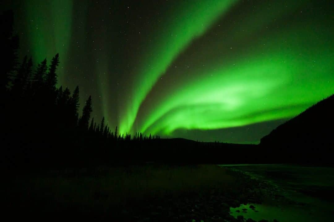 National Geographic Travelさんのインスタグラム写真 - (National Geographic TravelInstagram)「Photo by @CristinaMittermier | The dark sky was illuminated above me as vibrant waves of green danced through the night. As I stood late at night in the middle of the Fishing Branch River in the Yukon with the Northern Lights dancing over me and listening to the pebbles of the stream rolling under the fast-moving water, a feeling of deep communion from being surrounded by the serenity of raw wilderness came upon me. #FollowMe at @CristinaMittermeier for more photos from around the world. #NorthernLights #Aurora #Yukon #ExploreCanada」4月7日 18時55分 - natgeotravel