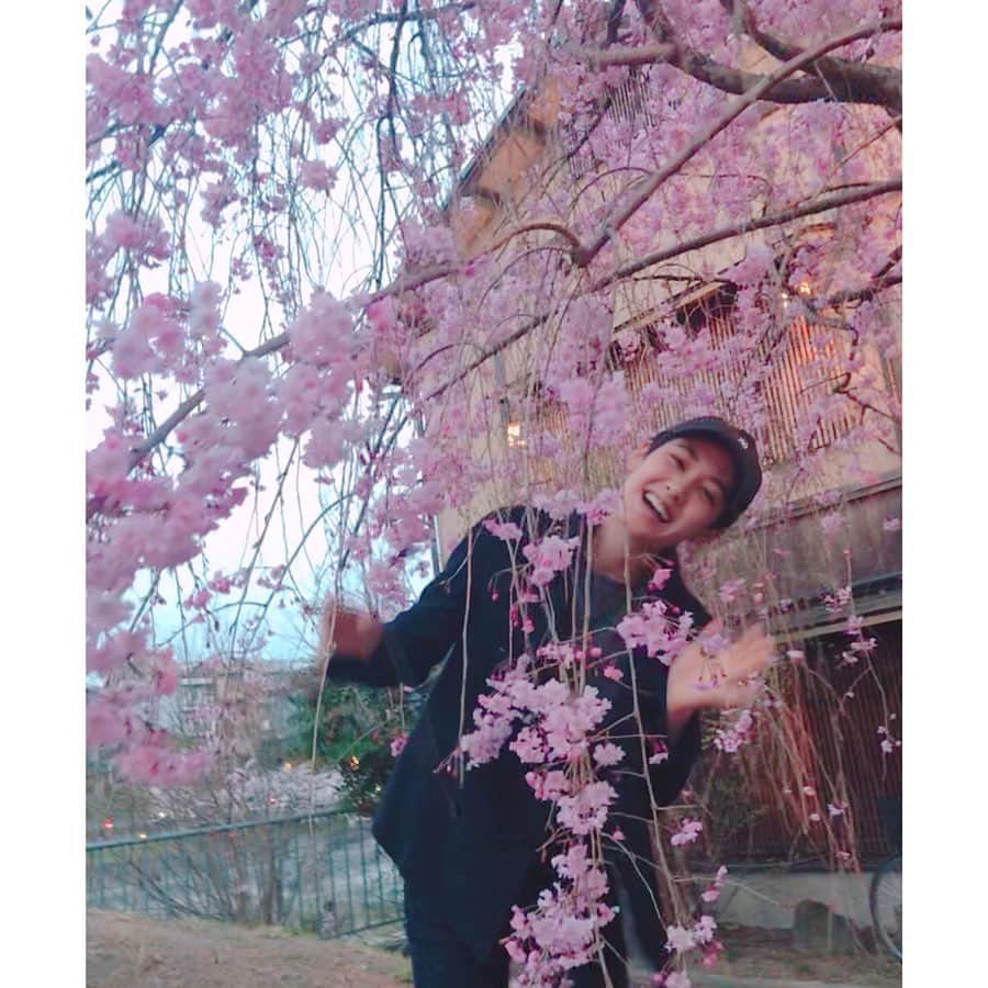 阿部純子さんのインスタグラム写真 - (阿部純子Instagram)「京都の桜巡り🌸🌸🌸 ・ ・ どこもキレイじゃのぉ👴  #突然の #波平さん🍵🍵」4月7日 18時57分 - junkoabe_official