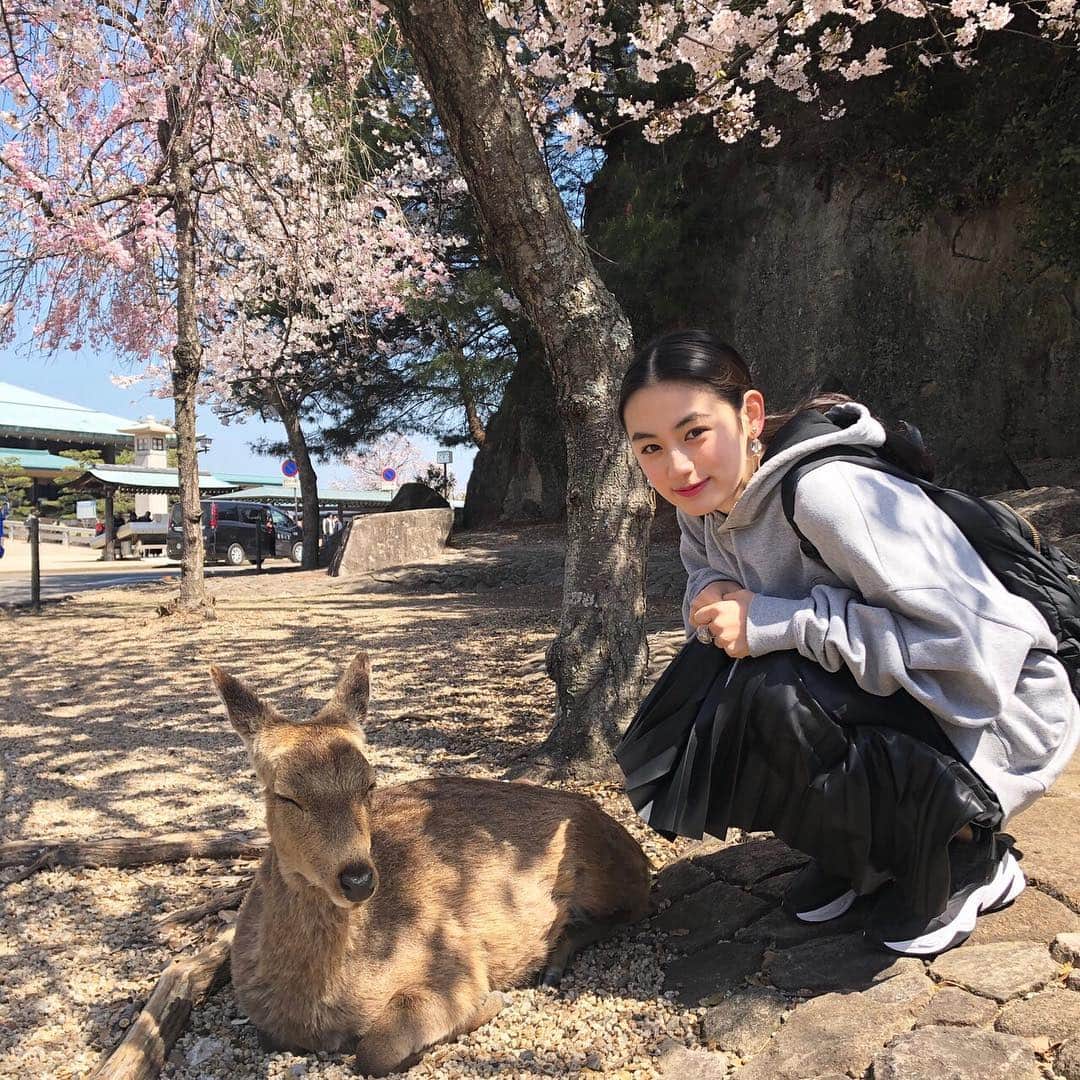 八木莉可子さんのインスタグラム写真 - (八木莉可子Instagram)「こないだ広島で、 お花見してきてん。 🦌は、桜あんまり 見てはらへんかったわ…。笑」4月7日 18時57分 - yagirikaco_official