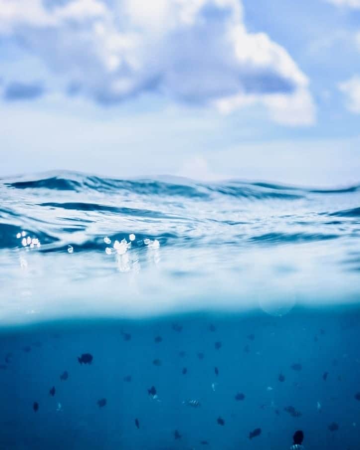 And Youさんのインスタグラム写真 - (And YouInstagram)「You're missing half of what Hawaii has to offer if you only stay above the waves 🌊. #ocean #underwaterphotography #sea #discoverocean #oahu」4月8日 4時54分 - dolphinsandyou