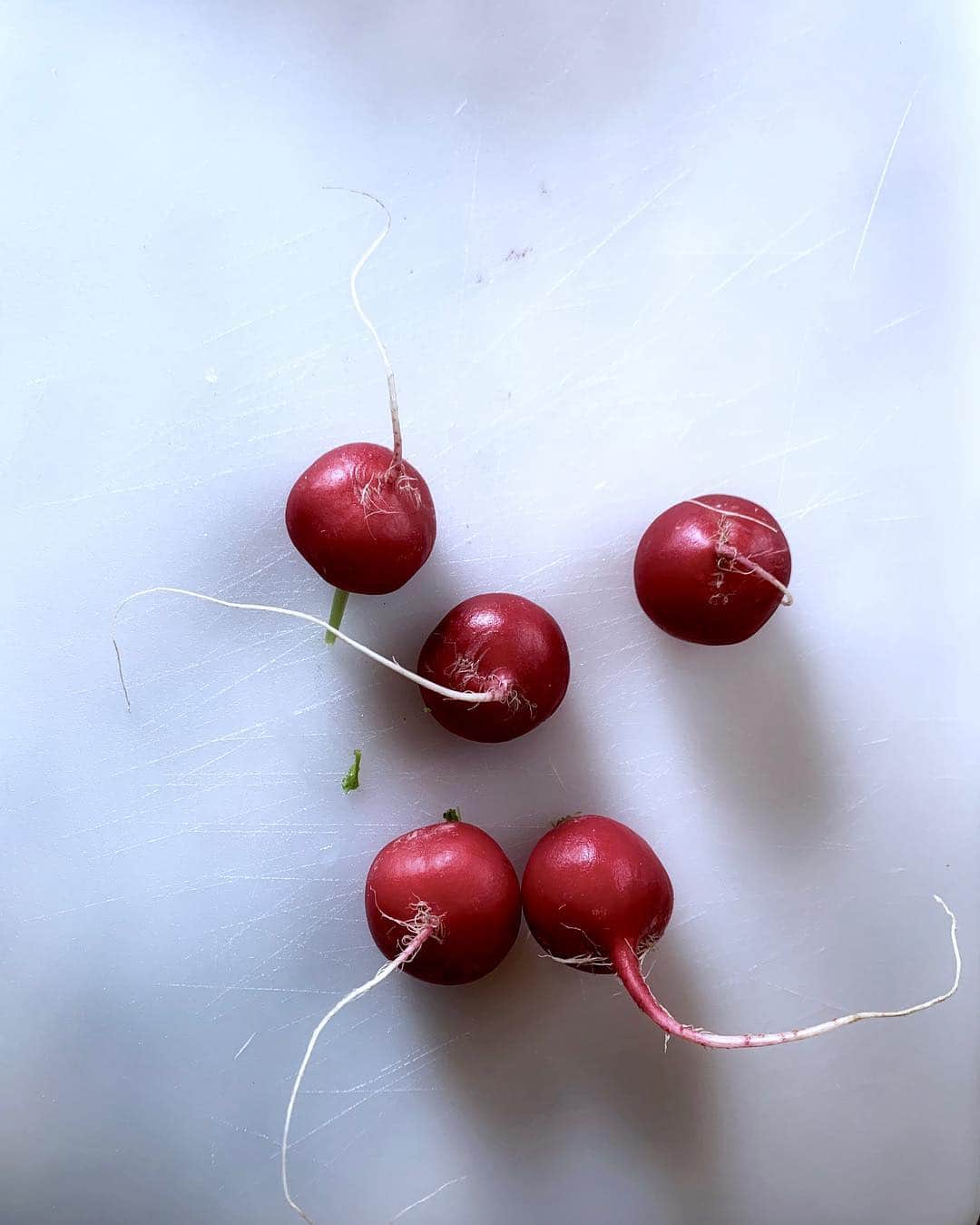 イーライ・リエブのインスタグラム：「Freakin radishes」