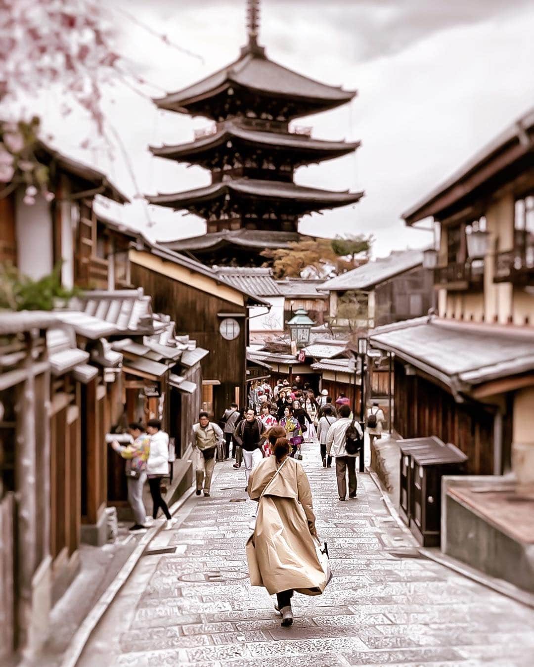 Yukicoさんのインスタグラム写真 - (YukicoInstagram)「‥ 数日前の それはそれは 寒い日でした ‥‥‥‥‥‥‥‥‥‥‥‥‥‥‥‥‥‥‥‥‥‥‥‥‥‥‥‥‥‥‥‥‥‥ #travelphotography#travellingthroughtheworld#beautifuldestinations#special_shots#best_photogram#travelaweson#lifewelltraveled#wonderful_place#amazingdestination#streetphotography#japanesearchitecture#kyotosightseeing#cherryblossom#higashiyama#flyjal#yasakanotou#acejapan#genic_絶景と秘話#スマホジェニック#桜ハンター#京都観光#タビジェニアンバサダー#そうだ京都行こう#京都桜2019#京都桜」4月7日 20時45分 - yukicolifecom