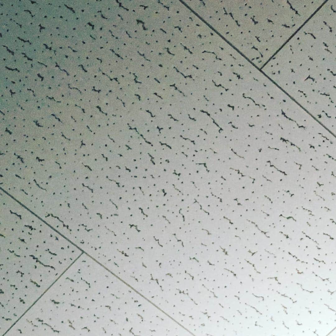 斉藤伸也さんのインスタグラム写真 - (斉藤伸也Instagram)「さっきインスタライブで言われて気付いた、俺んちの天井モロに古いビルの会議室だわ、教室の天井もこんなんだった  #会議室」4月7日 20時52分 - shytoshinya
