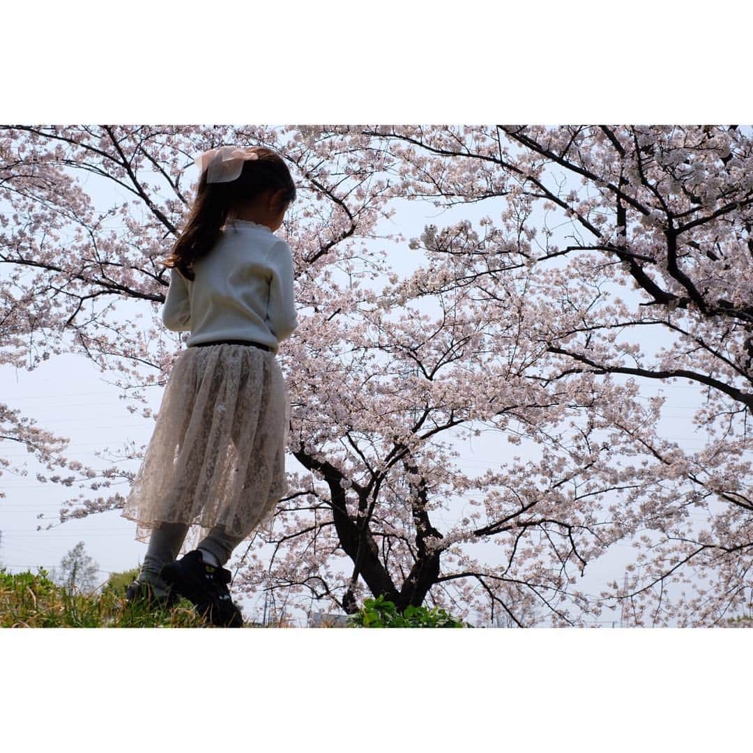 Ai.tさんのインスタグラム写真 - (Ai.tInstagram)「. 今日は公園へ行ったりお散歩したり🙌💓 . いいお天気でしたね❤️ . 母が家族での写真も撮ってくれた🙆‍♀️ . 明日で春休み終わりだ😭 . 渚の制服姿が可愛すぎるので毎朝楽しみ🤣💓#親バカ . . 2019.04.07 #nagisa_kouya_movie #fujifilm #xt20」4月7日 21時01分 - ngs.rky.kuy