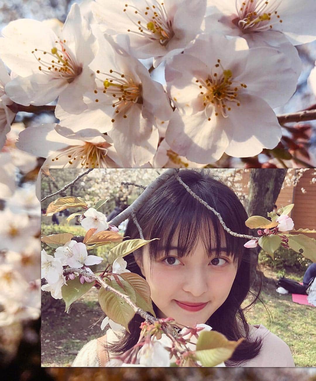 斉藤瑞季のインスタグラム：「春だね〜🌸 #spring #sakura #hanami #japan #pink #代々木公園 #お花見 #お花見コーデ #photo」