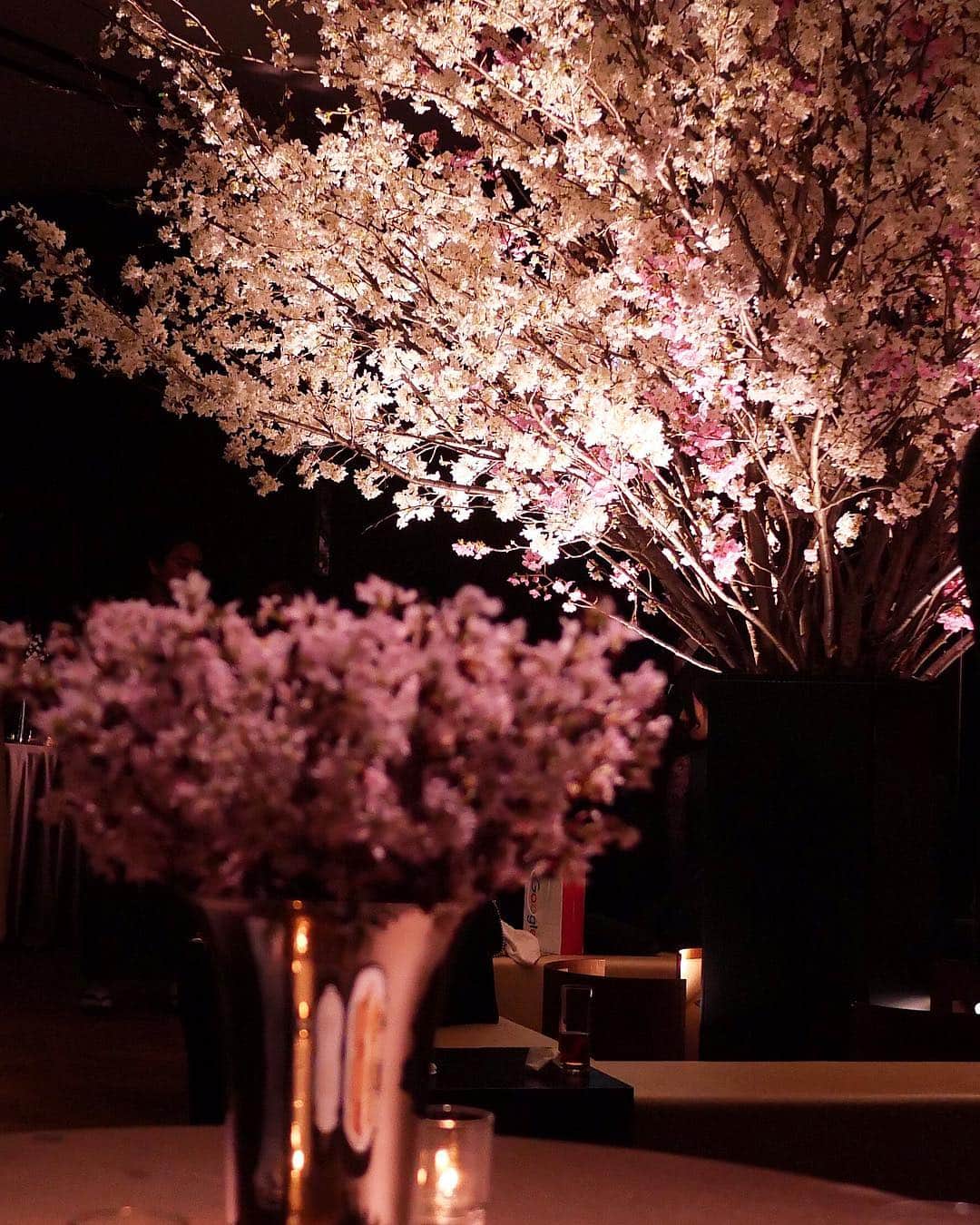 田中麻衣さんのインスタグラム写真 - (田中麻衣Instagram)「都内披露宴のテーマを夜のお花見🌸🌉にしていたので、会場装花は全て桜で統一しました。 . お花は全部任せると夫が任せてくれて、いつか結婚式をするときは会場を全て桜で埋め尽くしたいという理想があったので時期も桜のシーズンに🌸✨ ほかの花材は一切使わずシンプルにモダンに、かつダイナミックに配置していただきました。 まさに理想通りの装花にしてくださったフローリストさんに感謝です。 . ど真ん中に桜の木をイメージした大きな桜を。花瓶も黒でお願いし、シックに仕上げていただきました☺️💕 桜の周りにベンチを用意したりして本当にお花見風に🍡🌸 . 高砂も立体感に桜を配置してくださり、これも理想そのものでした🌸 . #2019春婚 #wedding #プレ花嫁 #グランドハイアット東京 #grandhyatttokyo #お花見 #桜 #結婚式 #グラハイ花嫁」4月7日 20時55分 - maitanaka1217