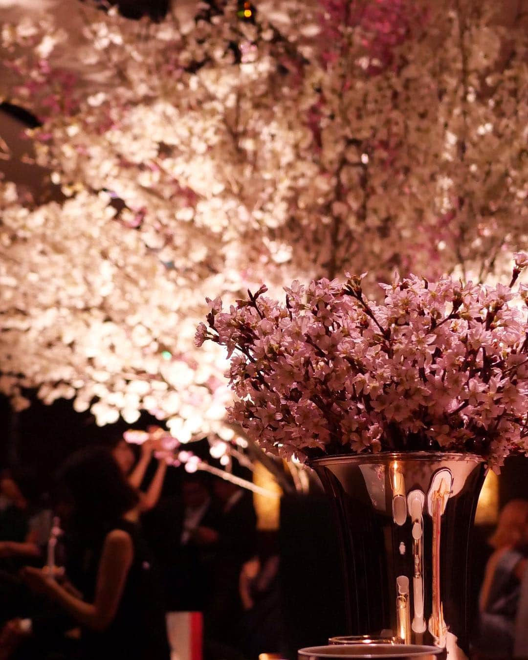 田中麻衣さんのインスタグラム写真 - (田中麻衣Instagram)「都内披露宴のテーマを夜のお花見🌸🌉にしていたので、会場装花は全て桜で統一しました。 . お花は全部任せると夫が任せてくれて、いつか結婚式をするときは会場を全て桜で埋め尽くしたいという理想があったので時期も桜のシーズンに🌸✨ ほかの花材は一切使わずシンプルにモダンに、かつダイナミックに配置していただきました。 まさに理想通りの装花にしてくださったフローリストさんに感謝です。 . ど真ん中に桜の木をイメージした大きな桜を。花瓶も黒でお願いし、シックに仕上げていただきました☺️💕 桜の周りにベンチを用意したりして本当にお花見風に🍡🌸 . 高砂も立体感に桜を配置してくださり、これも理想そのものでした🌸 . #2019春婚 #wedding #プレ花嫁 #グランドハイアット東京 #grandhyatttokyo #お花見 #桜 #結婚式 #グラハイ花嫁」4月7日 20時55分 - maitanaka1217