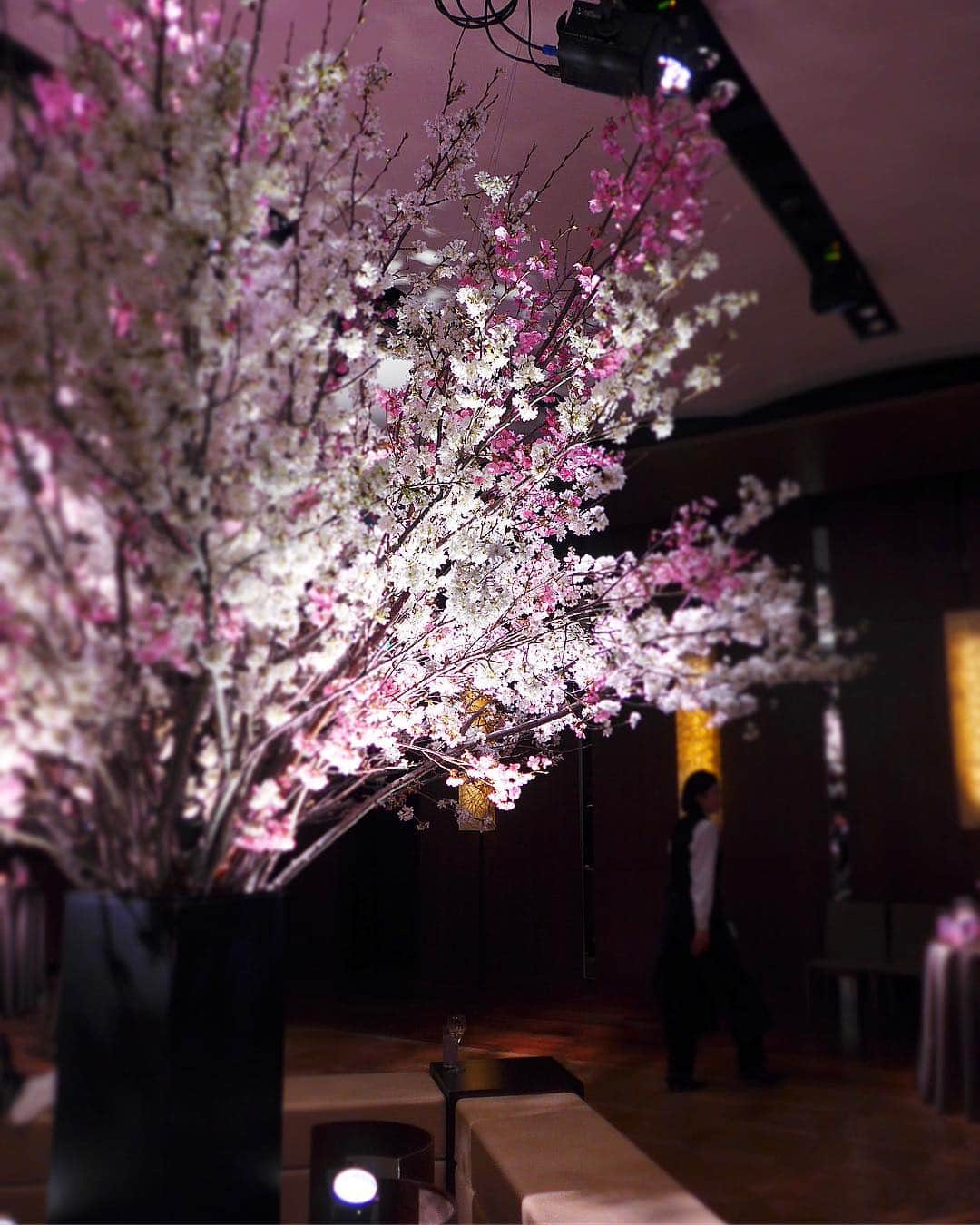 田中麻衣さんのインスタグラム写真 - (田中麻衣Instagram)「都内披露宴のテーマを夜のお花見🌸🌉にしていたので、会場装花は全て桜で統一しました。 . お花は全部任せると夫が任せてくれて、いつか結婚式をするときは会場を全て桜で埋め尽くしたいという理想があったので時期も桜のシーズンに🌸✨ ほかの花材は一切使わずシンプルにモダンに、かつダイナミックに配置していただきました。 まさに理想通りの装花にしてくださったフローリストさんに感謝です。 . ど真ん中に桜の木をイメージした大きな桜を。花瓶も黒でお願いし、シックに仕上げていただきました☺️💕 桜の周りにベンチを用意したりして本当にお花見風に🍡🌸 . 高砂も立体感に桜を配置してくださり、これも理想そのものでした🌸 . #2019春婚 #wedding #プレ花嫁 #グランドハイアット東京 #grandhyatttokyo #お花見 #桜 #結婚式 #グラハイ花嫁」4月7日 20時55分 - maitanaka1217