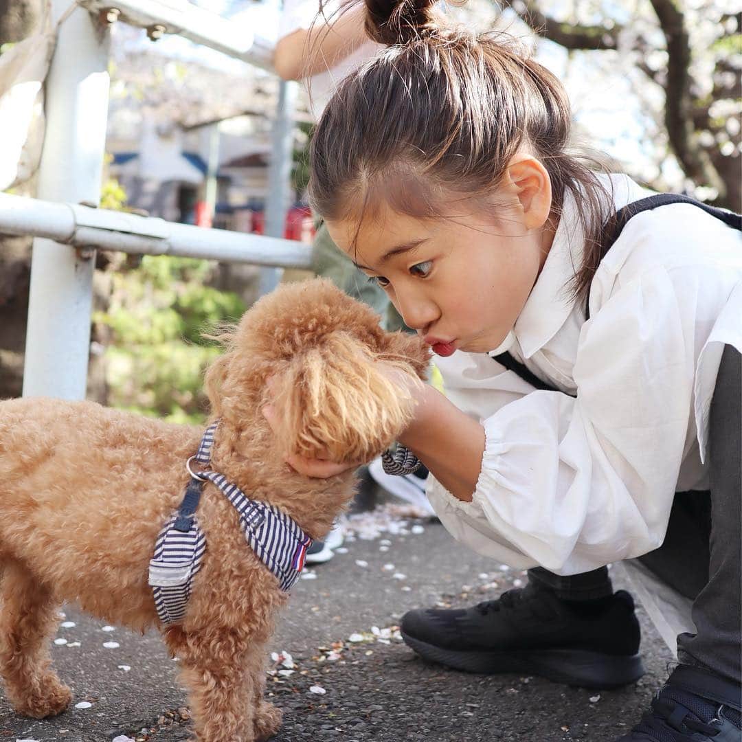 二宮こずえさんのインスタグラム写真 - (二宮こずえInstagram)「. . 新たな始まりの季節 サクラサク4月 . 娘は4年生に 息子は2年生に 2人とも一学年上がったことへの ワクワクとドキドキ これからの毎日 どんなことが起きるのか あたしも楽しみだ . 4年生といえば いよいよ高学年の仲間入り たくさんのことに挑戦し きちんと自分に責任を持ち そして何事も楽しんでほしい 9歳の壁よ、いつでもこい！！ . 息子は学校生活にも慣れ 初めての下級生ができる 少しだけお兄さんに 幼児期から児童期への 大切な時期だよね 毎日よく観察し 小さな小さな変化に 気づいてあげよう . そしてプラスの言葉の シャワーを浴びせるの 大丈夫大丈夫 あなたならできる わからなかったら 一緒に考えよう どんなことでも 一緒にやってみよう . 子どもをホッとさせる 魔法の言葉は 不安が薄らぎ 自信につながる . あたしがまずすることは 日々成長する子どもたちを 毎日きちんと見守ること 口出しする前に 聞くこと 待つこと ゆとりを持つこと 信じること . 途中で話を止めたり 途中で勝手に話をまとめたりせず 子どもたちの話に 最後までじっくりゆっくり 耳をかたむけること こちらは準備万端です . . ※4枚目の写真は1年前同じ場所で . .」4月7日 21時00分 - cozue_n