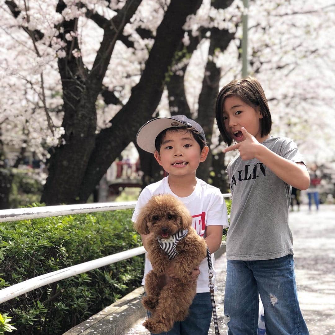 二宮こずえさんのインスタグラム写真 - (二宮こずえInstagram)「. . 新たな始まりの季節 サクラサク4月 . 娘は4年生に 息子は2年生に 2人とも一学年上がったことへの ワクワクとドキドキ これからの毎日 どんなことが起きるのか あたしも楽しみだ . 4年生といえば いよいよ高学年の仲間入り たくさんのことに挑戦し きちんと自分に責任を持ち そして何事も楽しんでほしい 9歳の壁よ、いつでもこい！！ . 息子は学校生活にも慣れ 初めての下級生ができる 少しだけお兄さんに 幼児期から児童期への 大切な時期だよね 毎日よく観察し 小さな小さな変化に 気づいてあげよう . そしてプラスの言葉の シャワーを浴びせるの 大丈夫大丈夫 あなたならできる わからなかったら 一緒に考えよう どんなことでも 一緒にやってみよう . 子どもをホッとさせる 魔法の言葉は 不安が薄らぎ 自信につながる . あたしがまずすることは 日々成長する子どもたちを 毎日きちんと見守ること 口出しする前に 聞くこと 待つこと ゆとりを持つこと 信じること . 途中で話を止めたり 途中で勝手に話をまとめたりせず 子どもたちの話に 最後までじっくりゆっくり 耳をかたむけること こちらは準備万端です . . ※4枚目の写真は1年前同じ場所で . .」4月7日 21時00分 - cozue_n
