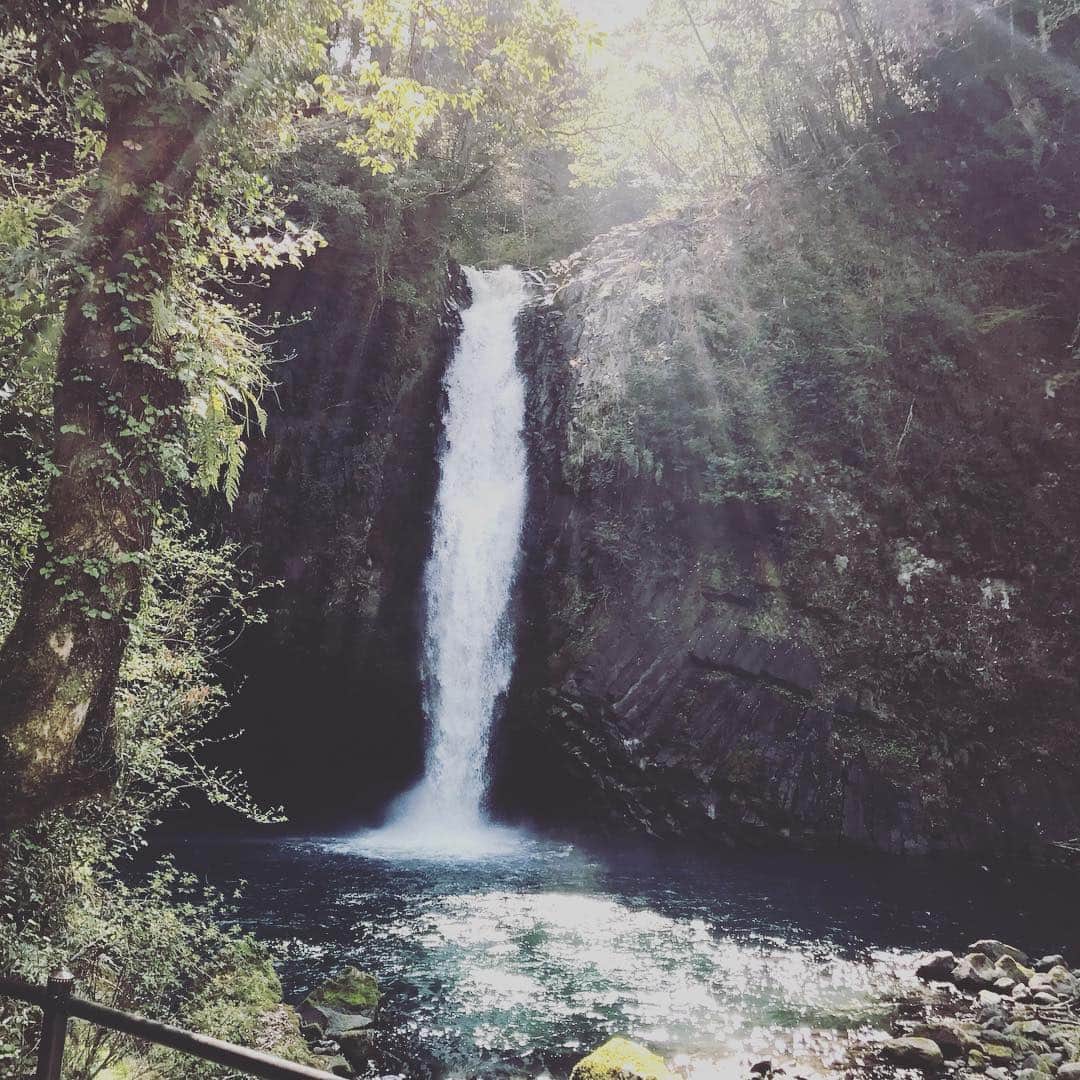 巻上公一のグルメインスタ