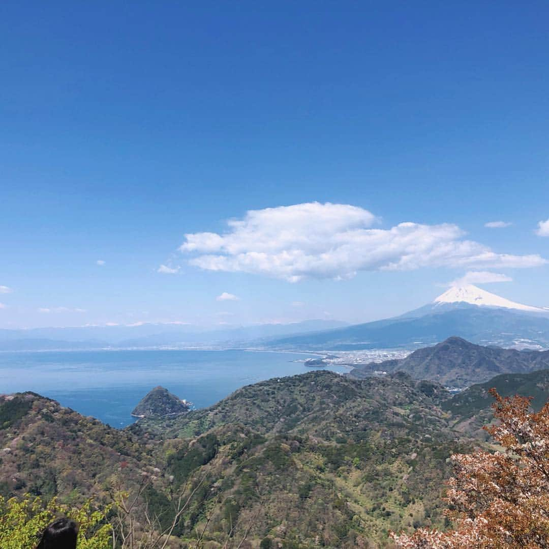 ななぴさんのインスタグラム写真 - (ななぴInstagram)「ずっといきたかった﻿ 伊豆の国パノラマパーク🗻﻿ 天気もよかったし桜も咲いてて﻿ 最高な景色でした…❁﻿ ﻿ 普通のパノラマ席もあるけど﻿ ソファー席も予約できます☕️﻿ ドリンクもつくしすごくゆったりできて﻿ 気持ちが良いのでおすすめです💐﻿ ﻿ #伊豆の国パノラマパーク #パノラマパーク #伊豆 #おすすめ観光 #観光 #伊豆観光 #伊豆旅行 #国内旅行 #静岡 #富士山 #パノラマパーク #インスタ映え #富士見テラス」4月7日 21時03分 - __nanapgram__