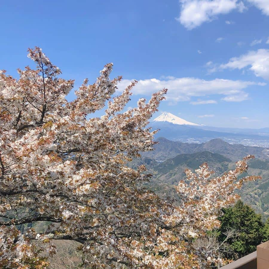 ななぴさんのインスタグラム写真 - (ななぴInstagram)「ずっといきたかった﻿ 伊豆の国パノラマパーク🗻﻿ 天気もよかったし桜も咲いてて﻿ 最高な景色でした…❁﻿ ﻿ 普通のパノラマ席もあるけど﻿ ソファー席も予約できます☕️﻿ ドリンクもつくしすごくゆったりできて﻿ 気持ちが良いのでおすすめです💐﻿ ﻿ #伊豆の国パノラマパーク #パノラマパーク #伊豆 #おすすめ観光 #観光 #伊豆観光 #伊豆旅行 #国内旅行 #静岡 #富士山 #パノラマパーク #インスタ映え #富士見テラス」4月7日 21時03分 - __nanapgram__