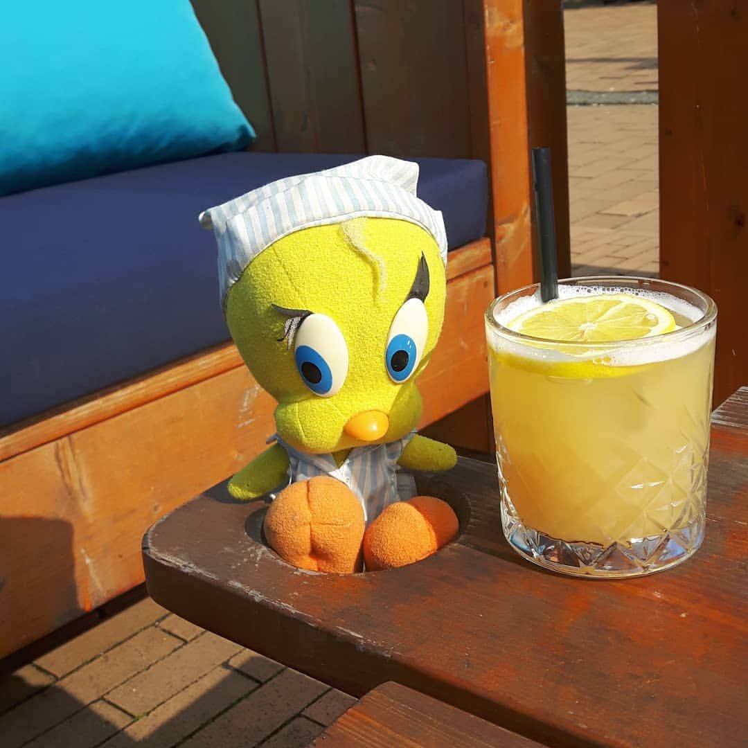 Little Yellow Birdさんのインスタグラム写真 - (Little Yellow BirdInstagram)「Just one last drink in the sun and it's bye bye Groningen! I loved the art, the food and this whisky sour is rock & roll!! #littleyellowbird #tweety #tweetykweelapis #adventures #yellow #bird #groningen #sun #weekend #sunnyweather #whiskysour #cocktail #drinks #sunday #lounging #stuffedanimalsofinstagram #plushiesofinstagram」4月7日 21時28分 - tweetykweelapis