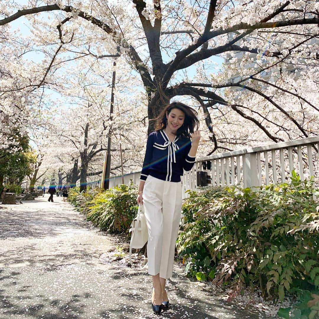 吉田美紀さんのインスタグラム写真 - (吉田美紀Instagram)「・ コーディネート☘ 風が強すぎた日…🍃 ・ cardigan→#lialapg pants→#estnation  bag→#delvaux  pumps→#chembur ・ #cherryblossom #coordinate #outfit #ootd #look #style #fashion #wardrobe #instafashion #instagood #ママコーデ #ママコーディネート #ママファッション #コーディネート #ファッション #桜 #桜並木」4月7日 21時20分 - miki__yoshida