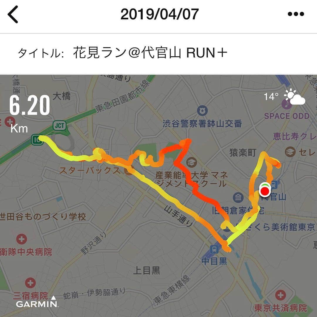 run+さんのインスタグラム写真 - (run+Instagram)「2019.04.07 ［#花見ラン → #お花見ランチ］ ・ 代官山→中目黒→目黒川→西郷山公園→郷桜美術館→代官山 をぐるっと6.20km ・ ゆるっと走った後は華やかなメニューが揃うピカールで食べ物調達して桜の下、気ままにお花見ランチ。 ・ 桜クロワッサン、甘じょっぱくてクセになる美味しさ(o^^o) みんなで何にするー？って言いながら選ぶのは、楽しくて準備がないから負担なくて気軽さが◎ ・ 今年の桜の見納め前に、今週末も 満喫 #お花見ラン ・ ご一緒頂いた皆さまありがとうございました！！ ・ ＊-------------------------------------------------＊ #RUNPLUS #ランニケーション #run➕ #run➕おいしい #run➕パワーチャージ #RUN詣 #run➕友達 ＊-------------------------------------------------＊ ・ #花見ラン #花見RUN #桜ラン ・ #花見  #桜 #ランニング #RUN #ゆるラン #走れるって幸せ ・ #ガーミン #ハシリマスタグラム #ハシリマシタグラム #走るひと #ランニケーション ・ #Runday #RunLovesLife」4月7日 21時21分 - runplus