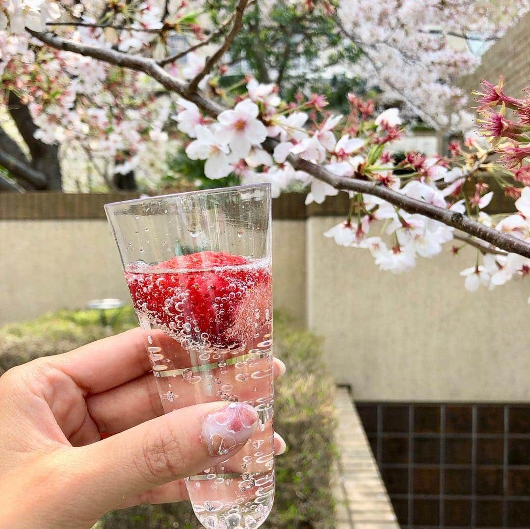 run+さんのインスタグラム写真 - (run+Instagram)「2019.04.07 ［#花見ラン → #お花見ランチ］ ・ 代官山→中目黒→目黒川→西郷山公園→郷桜美術館→代官山 をぐるっと6.20km ・ ゆるっと走った後は華やかなメニューが揃うピカールで食べ物調達して桜の下、気ままにお花見ランチ。 ・ 桜クロワッサン、甘じょっぱくてクセになる美味しさ(o^^o) みんなで何にするー？って言いながら選ぶのは、楽しくて準備がないから負担なくて気軽さが◎ ・ 今年の桜の見納め前に、今週末も 満喫 #お花見ラン ・ ご一緒頂いた皆さまありがとうございました！！ ・ ＊-------------------------------------------------＊ #RUNPLUS #ランニケーション #run➕ #run➕おいしい #run➕パワーチャージ #RUN詣 #run➕友達 ＊-------------------------------------------------＊ ・ #花見ラン #花見RUN #桜ラン ・ #花見  #桜 #ランニング #RUN #ゆるラン #走れるって幸せ ・ #ガーミン #ハシリマスタグラム #ハシリマシタグラム #走るひと #ランニケーション ・ #Runday #RunLovesLife」4月7日 21時21分 - runplus