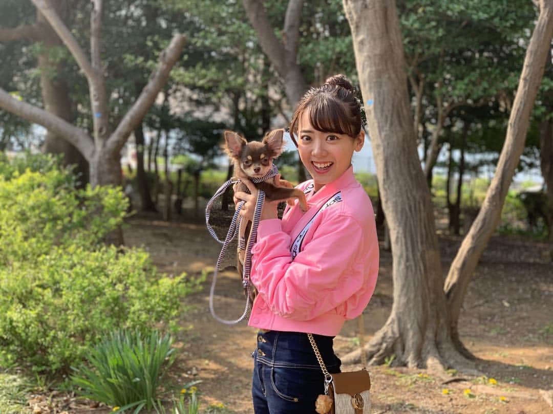 のインスタグラム：「・ 大会もイベントもひと段落して 久々のお休みはショコラとお花見に行きました🌸🌸 まだ桜残っててよかった〜😌笑 ショコラは迷惑そうだったけど いっぱい写真撮れたし満足🙆‍♀️笑  帰りは疲れて爆睡してたよ🐶  #spring #cherryblossom  #mydog #chocolat #sweetdogs  #お花見 #さくら #ショコラ #ショコラの成長日記🐶  #人が多くて #ビビりすぎて #ほぼ歩かない #歩いてください #ずっと抱っこしてて #手が疲れた #笑笑」