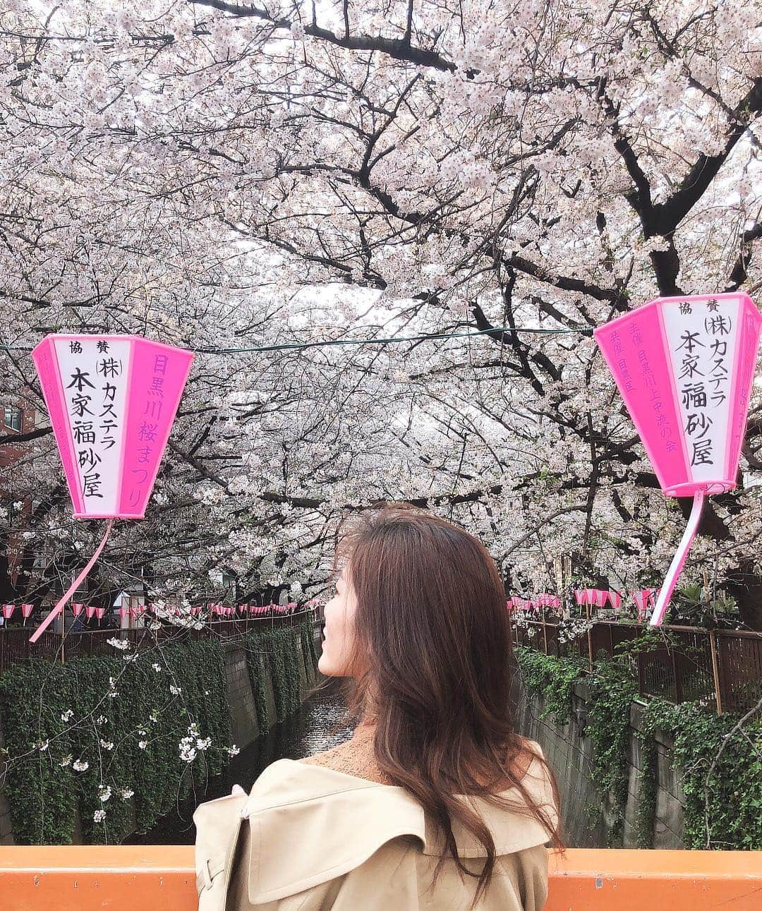 王子咲希(saki ouji)さんのインスタグラム写真 - (王子咲希(saki ouji)Instagram)「. 🌸🌸🌸 まにあったよ〜 . #目黒川」4月7日 21時25分 - sakiouji