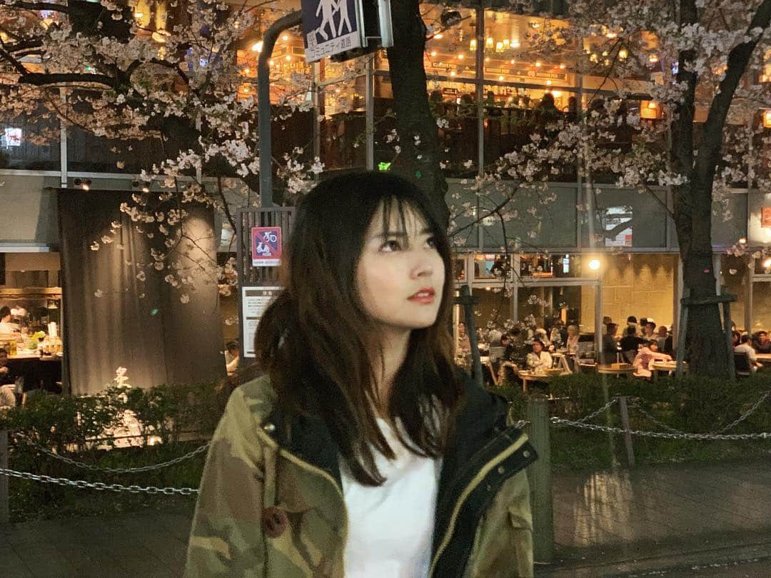 Miyuuさんのインスタグラム写真 - (MiyuuInstagram)「sakura at Kyoto🌸 . #miyuutrip#sakura#japan#kyoto#singersongwriter#japantrip#japanspring#miyuusic#miyuu」4月7日 21時29分 - miyuuamazing