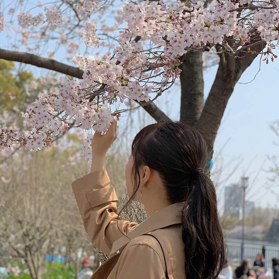 山本彩加さんのインスタグラム写真 - (山本彩加Instagram)「お花見に行ってきました🌸﻿✨ ﻿ ﻿ ﻿ ﻿ 家族でお花見なんて何年ぶりだろう💭﻿ ﻿ ﻿ 今日はすごくお天気が良くて、﻿ お花見日和でしたね🥰﻿ ﻿ ﻿ 暖かかったから今日は薄着でした♡﻿ ﻿ ﻿ ﻿ ﻿ ﻿ ﻿ ﻿ #お花見 #桜 #平成最後のお花見 #大阪城 バックに❤︎ #大阪城公園 #お花見コーデ #ポニーテール」4月7日 21時37分 - ayaka48_yanyan