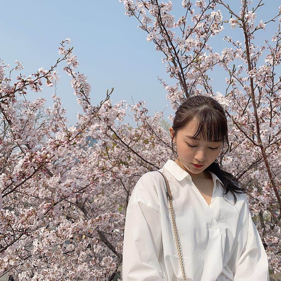 山本彩加さんのインスタグラム写真 - (山本彩加Instagram)「お花見に行ってきました🌸﻿✨ ﻿ ﻿ ﻿ ﻿ 家族でお花見なんて何年ぶりだろう💭﻿ ﻿ ﻿ 今日はすごくお天気が良くて、﻿ お花見日和でしたね🥰﻿ ﻿ ﻿ 暖かかったから今日は薄着でした♡﻿ ﻿ ﻿ ﻿ ﻿ ﻿ ﻿ ﻿ #お花見 #桜 #平成最後のお花見 #大阪城 バックに❤︎ #大阪城公園 #お花見コーデ #ポニーテール」4月7日 21時37分 - ayaka48_yanyan