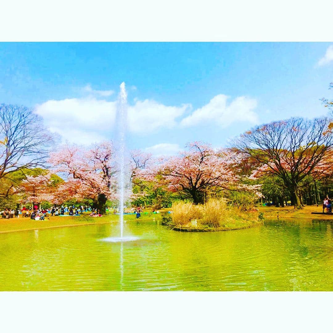河西里音さんのインスタグラム写真 - (河西里音Instagram)「🌸🎈🌸🐈🎈🌸🐈🎈🌸🐈 kawaii♡sakura♡odango♡ 🌸🎈🌸🐈🎈🌸🐈🎈🌸🐈 #花見#平成最後の花見#代々木公園 #おしゃれ#花より団子#桜#park #sakura#cute#pritty#yummy #pink#cherryblossom#spring #champagne#beautiful」4月7日 21時35分 - rion_kasai