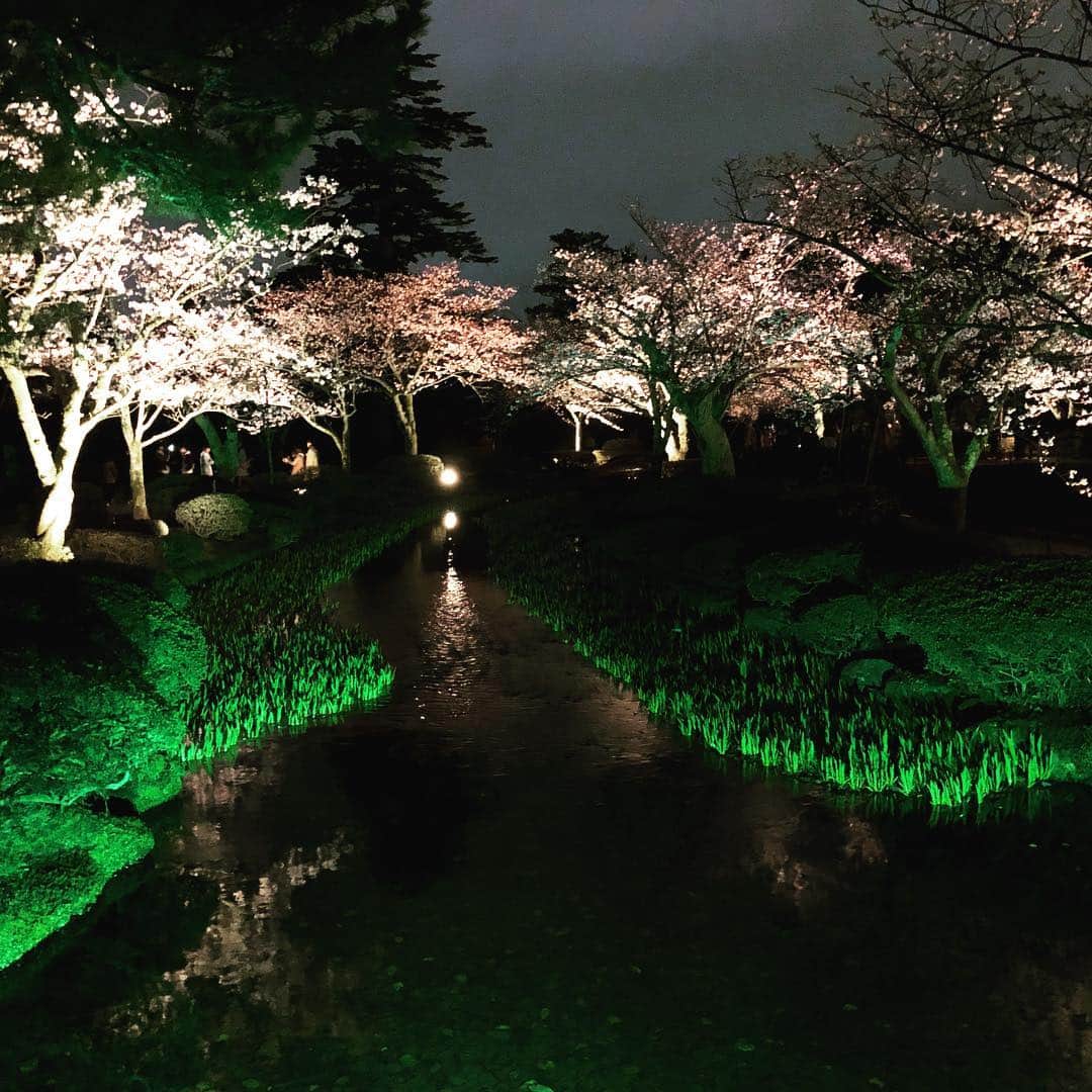 エリック・ラドフォードさんのインスタグラム写真 - (エリック・ラドフォードInstagram)「The Kenrokuen Gardens are a work of art. Just as beautiful at night as the daytime. #japan #kanazawa #nightimewalk #gardens #temple #beautiful #sakura」4月7日 21時35分 - ericradford85