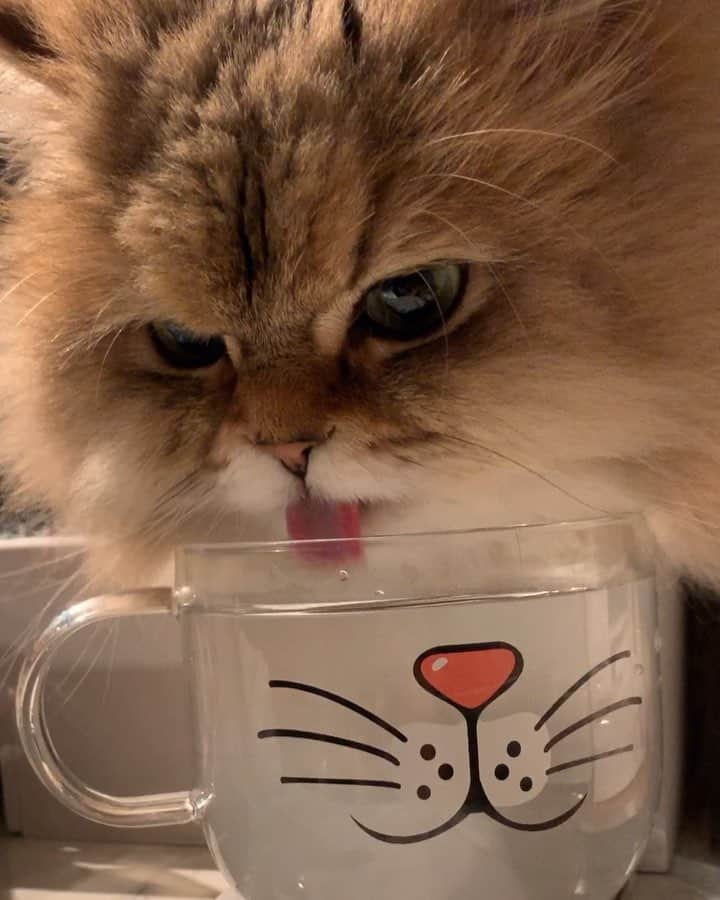 にこのインスタグラム