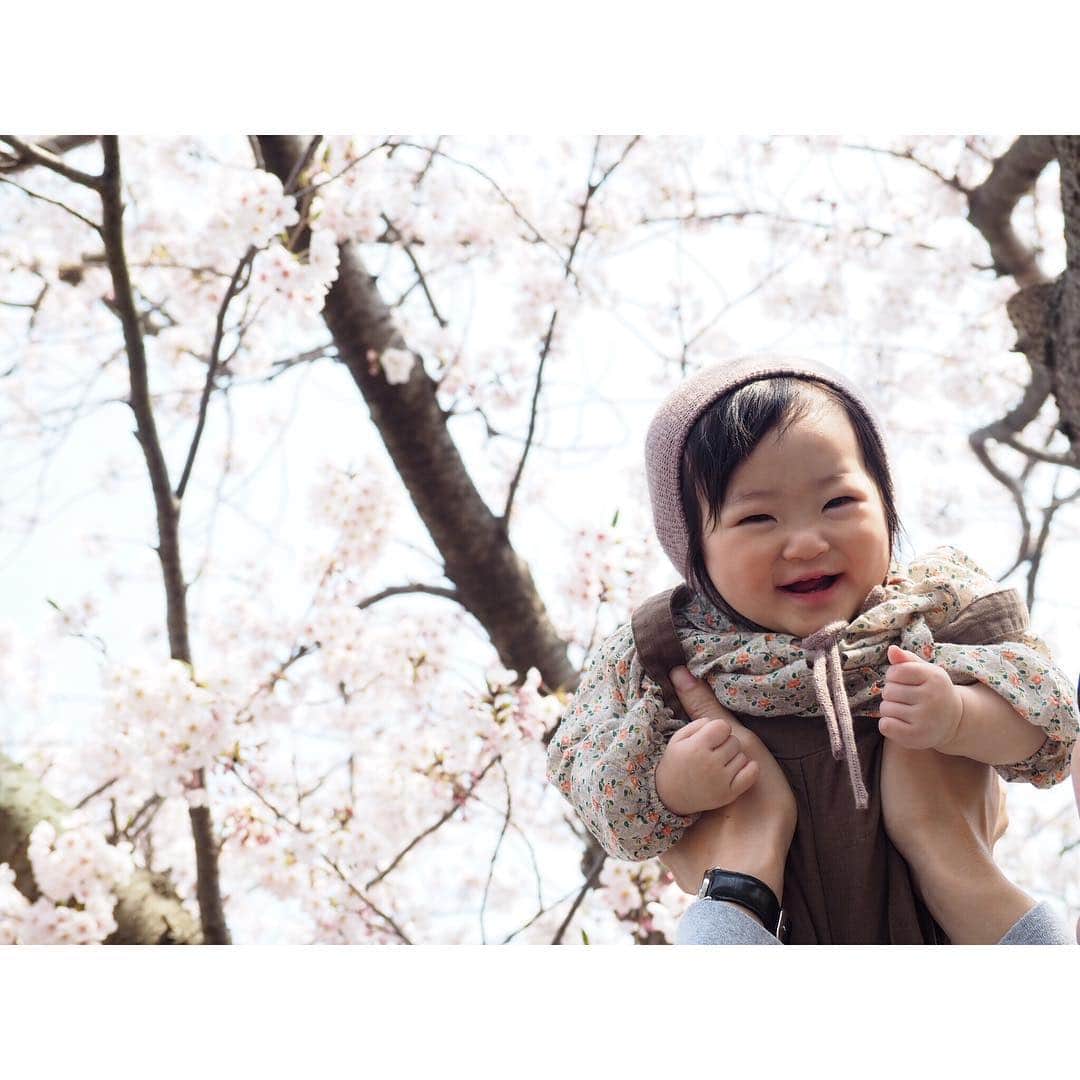 Kyooonさんのインスタグラム写真 - (KyooonInstagram)「お花見🌸﻿ 空があまり青くなかったので桜が綺麗に映らなかったけど満開で綺麗だった☺️✨﻿ 今新しいレンズがものすごく欲しい📸😫﻿ ﻿ ﻿ 今年は例年より長く桜を楽しめたような気がする♡従兄弟とたくさん遊んでもらって長女も次女もご満悦‪︎‬‪︎☺︎みんなが遊んでくれるから母は楽させてもらいました🤣﻿ ﻿ ﻿ 次女、半目だったから顔にスタンプしたけど﻿ 何もないところで立ちそう😳早いよ～😭﻿ ゆっくりゆっくり成長してくれたらいいよ😂﻿ 誰に抱っこされてもニコニコしてるし、2人目だからなのか何でも要領良さそう😚❤﻿ ﻿ ﻿ @majicalsherry_lme  相変わらずお尻と太ももの救世主！もうこれ無しではデニム履けない👖😂﻿ #桜#お花見#姉妹#4歳#0歳#生後9ヶ月#olympus#olympusomdem10markiii#omdem10markiii」4月7日 21時53分 - fancykyon