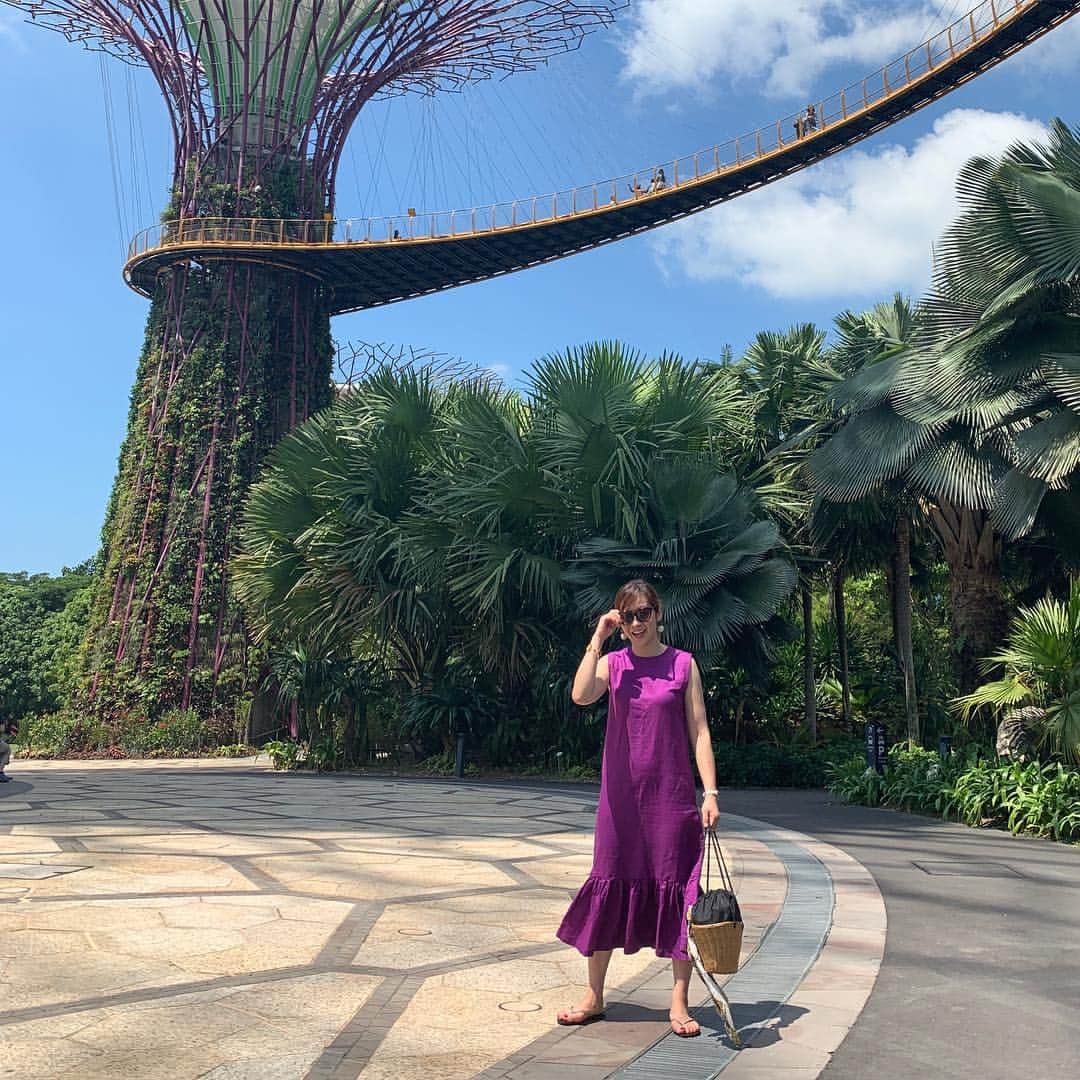 福吉 彩子のインスタグラム：「働くかあさんの旅するコーデ 春休み旅行でシンガポールへ！ 初日は念願の #marinabaysands を満喫 インフィニティプールはさすがの眺望で、子供たちも大満足！この時期意外にすいているようです(だから、お部屋も案外安い^_^) お隣の #gardensbythebay は人工と自然のバランスがシンガポールらしい植物園で、部屋からみる朝日に照らされた景色も抜群でした🌤 55階のクラブフロア用ラウンジでは、ホテルてっぺんの船形部分の底を眺めながらシャンパンが飲めます、お酒がやたらと高いシンガポールなので、これはお得感が高いかも🍹 ガーデンと偶然に色味がリンクした @birthdaybashshop のパープルのワンピース、ストンとしたら形と裾のフリルが好みです  詳細はブログに書きました  #birthdaybashshop  #ワーママ #ワーママコーデ #働くかあさん  #Domani #ドマーニ #雑誌ドマーニ #Domanist #domanimagazine  #mimolletootd  #プチプラコーデ  #春休み #シンガポール #singapore」