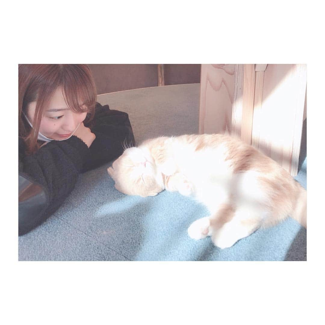 白石茉莉奈さんのインスタグラム写真 - (白石茉莉奈Instagram)「気持ちよさそう…🤱💭💭💭 . . #猫カフェモカ #モカですごすひととき」4月7日 21時49分 - marina_shiraishi_official