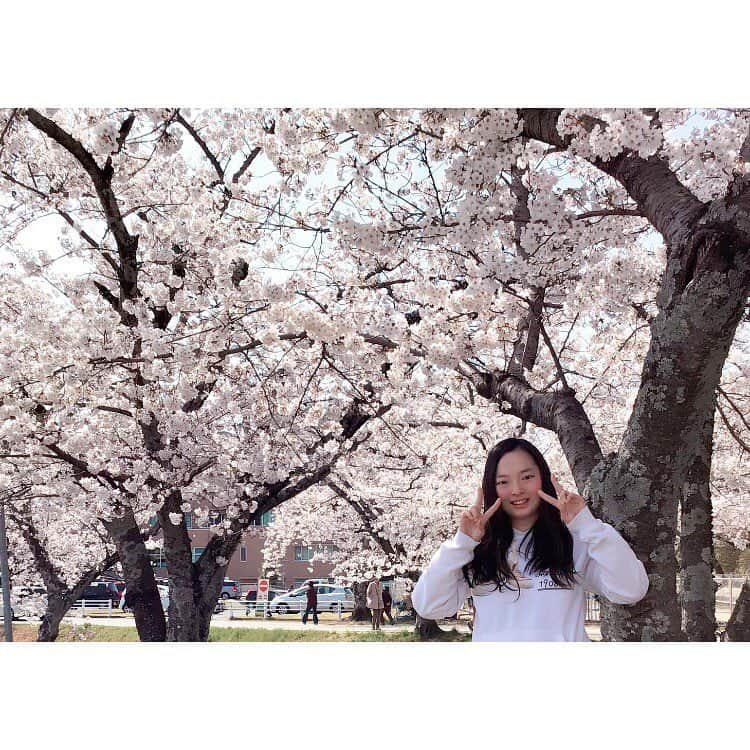 大庭雅さんのインスタグラム写真 - (大庭雅Instagram)「SAKURA🌸💕」4月7日 21時49分 - miyabi_oba