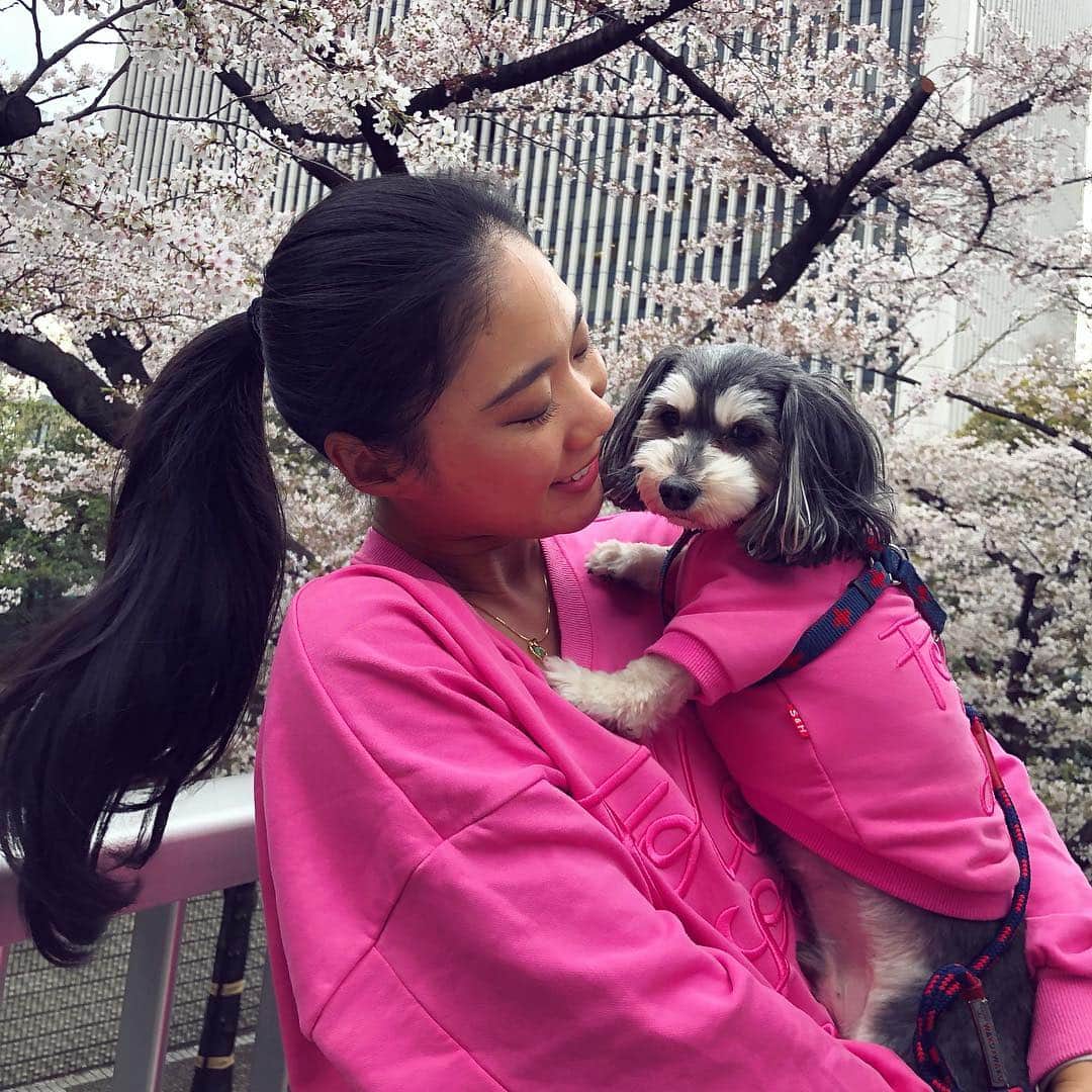 のインスタグラム：「🌸🌷🌿 今週東京は桜が満開で綺麗だったね🥰 ごんちゃんとペアルック着てお花見したよ🌸🐻🌸 @gontainukai  #お花見 #桜 #満開 #🌸 #おさんぽ #ペアルック #ピンク #ラブラブ #愛してる #幸せ #アークヒルズ #桜坂 #赤坂 #六本木一丁目 #マルダックス #マルックス」