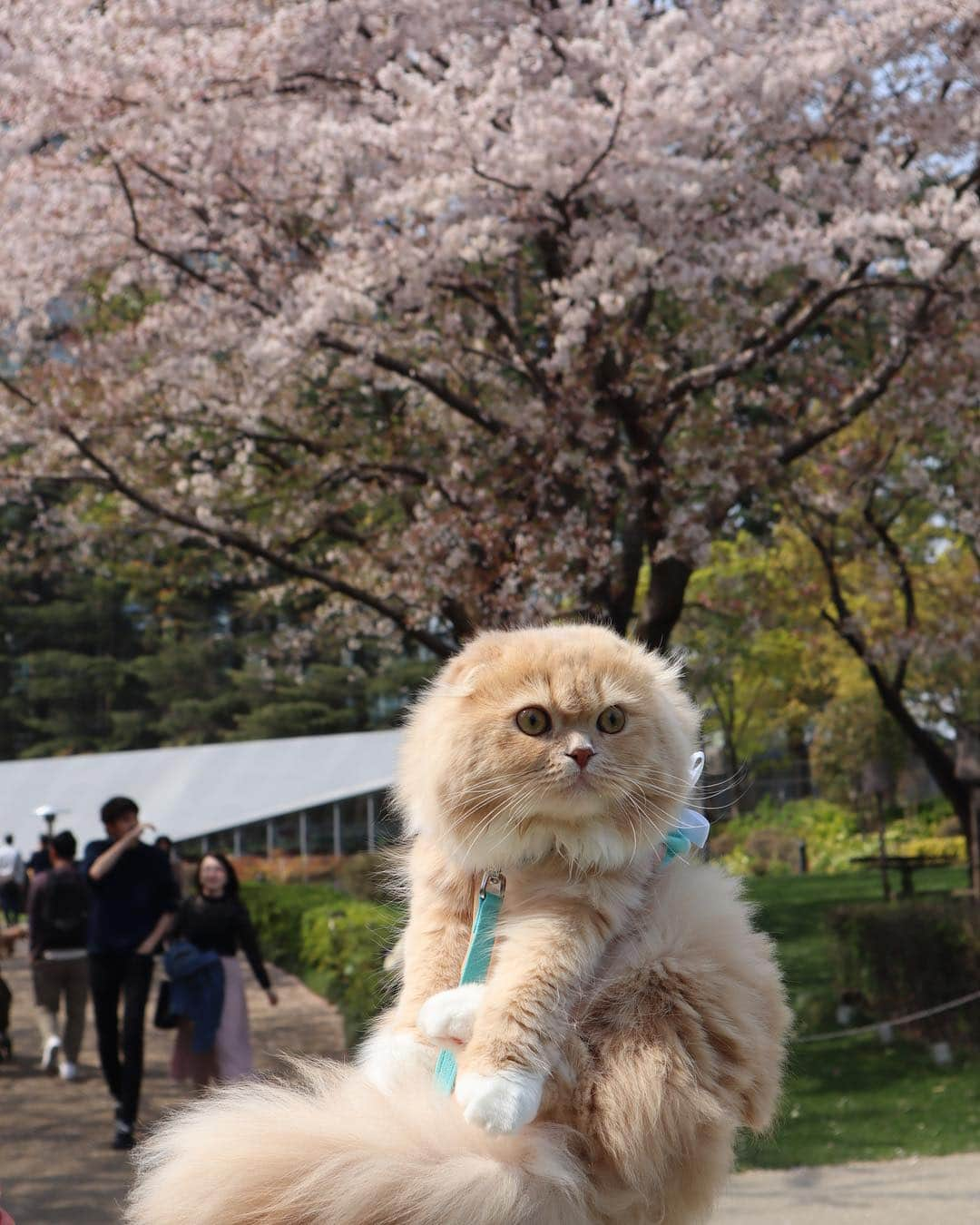 ベルのインスタグラム