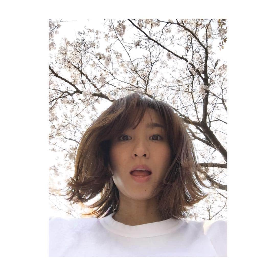 木口亜矢さんのインスタグラム写真 - (木口亜矢Instagram)「桜.. 娘が写真撮ってくれた だけど下からのアングルやだな。笑」4月7日 21時56分 - ayakiguchi