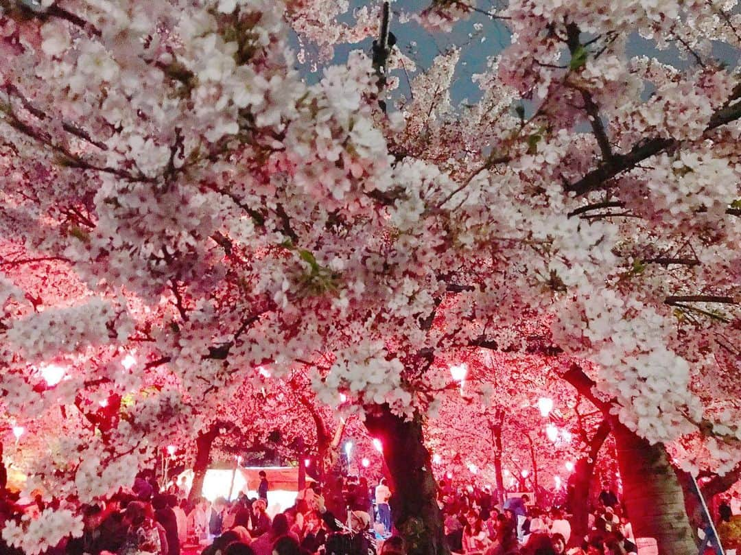 沢井里奈さんのインスタグラム写真 - (沢井里奈Instagram)「♡ . 夜桜とっても綺麗でした🌃🌸✨ 今年も見れてよかったです☺️💓💓 . #sakura #cherryblossom #tsurumapark #rirandture #ootd #coordinate #fashion #instafashion #haiarrange #hairstyle #hair #instagood #instagramjapan #japanesegirl #お花見 #花見 #夜桜 #鶴舞公園 #私服 #ヘアアレンジ #ヘア #ポニーテール」4月7日 21時57分 - sawairina