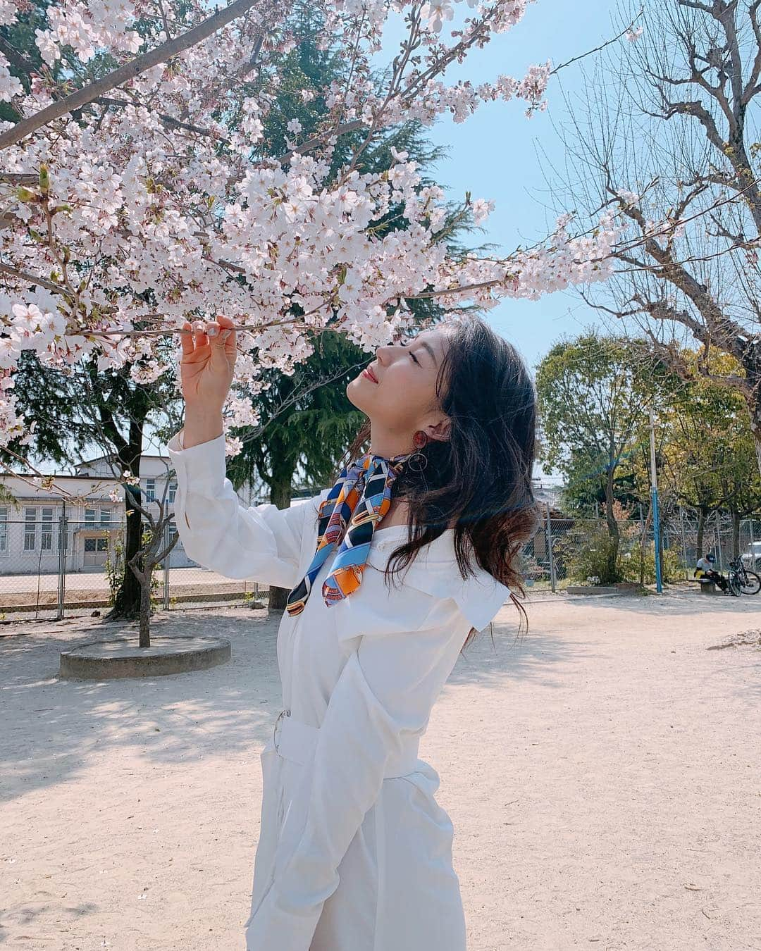 近藤美月さんのインスタグラム写真 - (近藤美月Instagram)「﻿﻿ ﻿﻿ 京都の桜🌸🌸﻿﻿ ﻿﻿ 綺麗すぎて心も勝手に﻿﻿ 浄化されるね💐💭﻿﻿ ﻿﻿ ﻿ この日は桜に合うように﻿ スカーフ巻いてレトロ感を出してみたよ🐰﻿ ﻿ ﻿ 幸せで溢れるこの季節が大好き❤﻿ ﻿ ﻿ ﻿ ﻿ ﻿ #京都#京都旅行#桜#京都の桜#祇園#京都祇園#清水寺#満開#関西サロンモデル#サロンモデル#スカーフコーデ#スカーフアレンジ#シャツワンピ#シャツワンピ#春コーデ#春コスメ#写ルンです#エモい#ポートレート#ポートレートモデル#ヘアアレンジ#ビジョビ#簡単ヘアアレンジ」4月7日 21時58分 - miittsuk