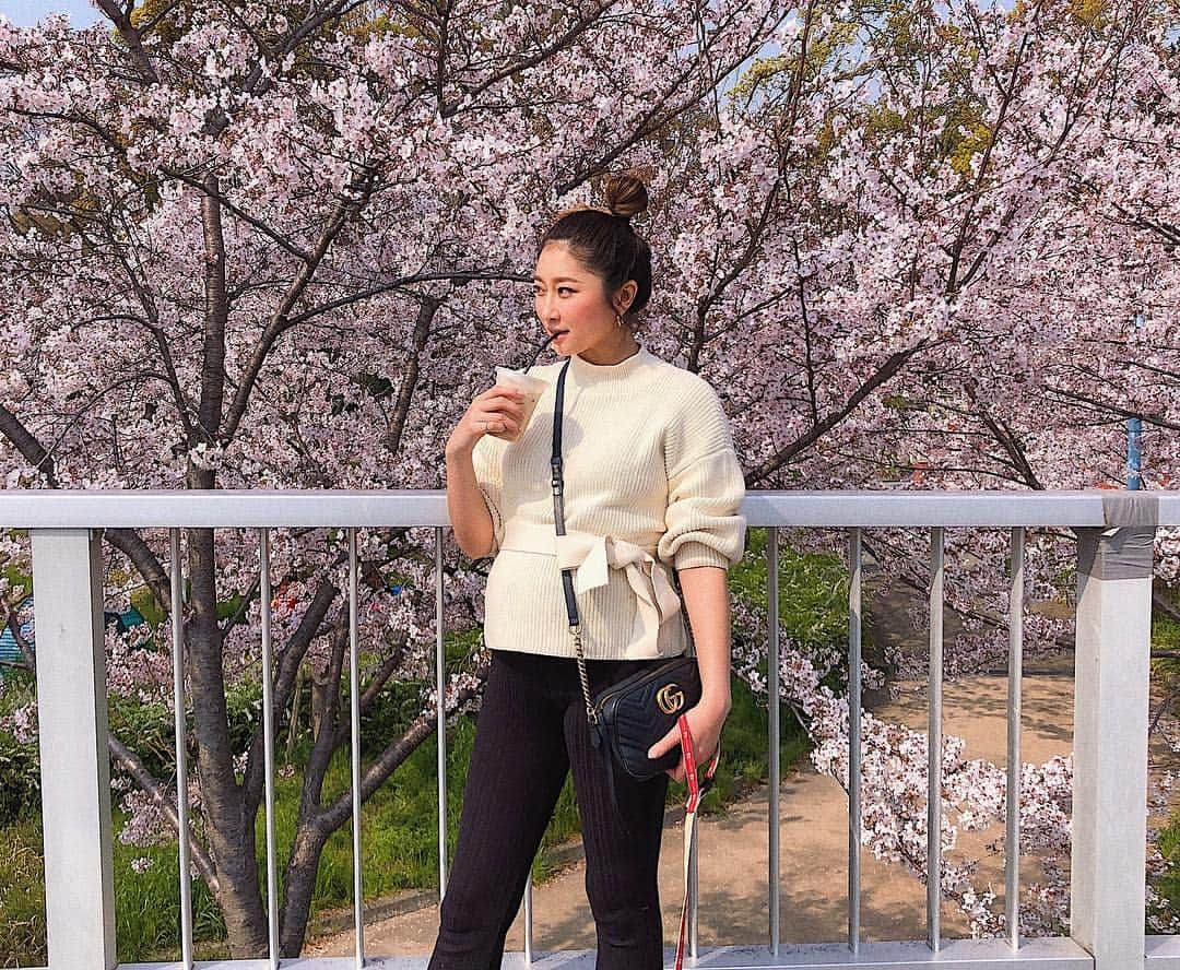 七菜香さんのインスタグラム写真 - (七菜香Instagram)「🌸満開. ・ ・ ・ ・ ・ ・ ・ #sakura #cherryblossom #april #spring #flowers #beautiful #pink #kawaii #japan #osaka #dayoff #hangout #date #pregnant #pregnantlife #8months #instagood #桜 #大阪 #桜ノ宮 #お花見 #デート #マタニティライフ #妊娠8ヶ月 #28w5d #🤰 #🌸」4月7日 21時58分 - nanaka0118