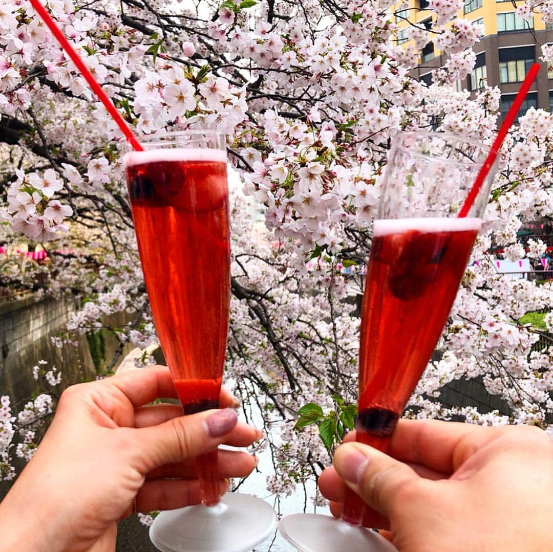 ゆりあさんのインスタグラム写真 - (ゆりあInstagram)「. . . . 駆け込みお花見🌸🌸 最後の最後で お花見できて良かったぁ🌸✨ . . . 目黒川の桜を見ながら @alohatable_nakameguro  でお花見コース💗💗 . . . @task_fitness.jp たすきゅん @leap___2018 たけすぅぃぃ 濃厚な一日をありがとう😆🌸 . . . この日、どこのグループより 楽しかったと自信もっていえるよ💗 . . . 『ストリッパー....バタン🚪』 . . . じわり過ぎて死ぬww . . . #お花見 #目黒川 #alohatable  #アロハテーブル #いちごシャンパン #最高の２日間 #愛でいっぱい #ありがとう #また集まろうね #次はちかほも #ちかほロス @chi11s2fit  #綺麗は作れる #努力は必ず報われる . . . . 2019.4.7 平成最後のね🌸 . . . .」4月7日 22時12分 - yuria_life