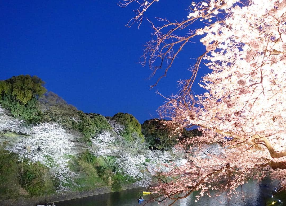 平子理沙さんのインスタグラム写真 - (平子理沙Instagram)「今年は本当に沢山の満開の桜を見る事ができました❣️🌸🌸🌸🌸🌸柔らかな気持ちの良い風に、舞い散る桜吹雪も大好き❤💕🌸🌸🌸🌸🌸🌸🌸🌸🌸🌸🌸🌸 #千鳥ヶ淵#桜#cherryblossom #tokyo#fashion #beauty #lifestyle #risahirako #平子理沙」4月7日 22時12分 - risa_hirako