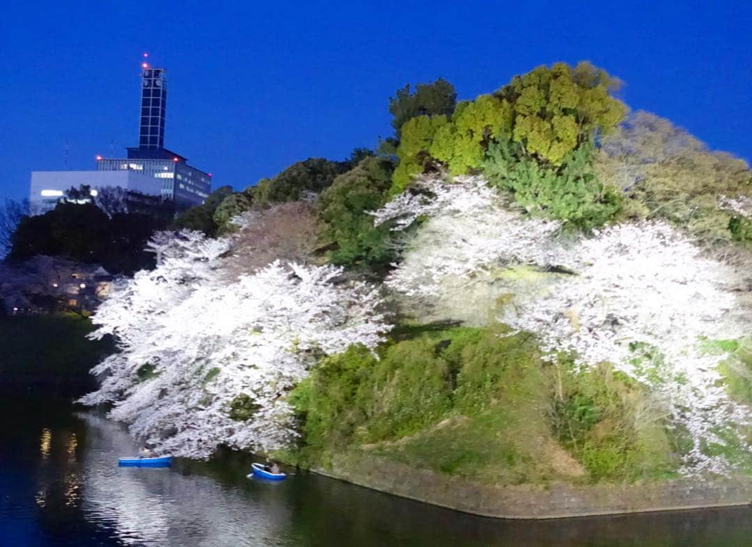 平子理沙さんのインスタグラム写真 - (平子理沙Instagram)「今年は本当に沢山の満開の桜を見る事ができました❣️🌸🌸🌸🌸🌸柔らかな気持ちの良い風に、舞い散る桜吹雪も大好き❤💕🌸🌸🌸🌸🌸🌸🌸🌸🌸🌸🌸🌸 #千鳥ヶ淵#桜#cherryblossom #tokyo#fashion #beauty #lifestyle #risahirako #平子理沙」4月7日 22時12分 - risa_hirako