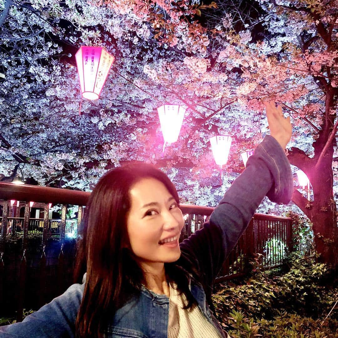 佐伯紅緒さんのインスタグラム写真 - (佐伯紅緒Instagram)「平成最後の夜桜見物。 今年は旅行で見られないと思っていたので喜びひとしおです。」4月7日 22時12分 - beniosaeki