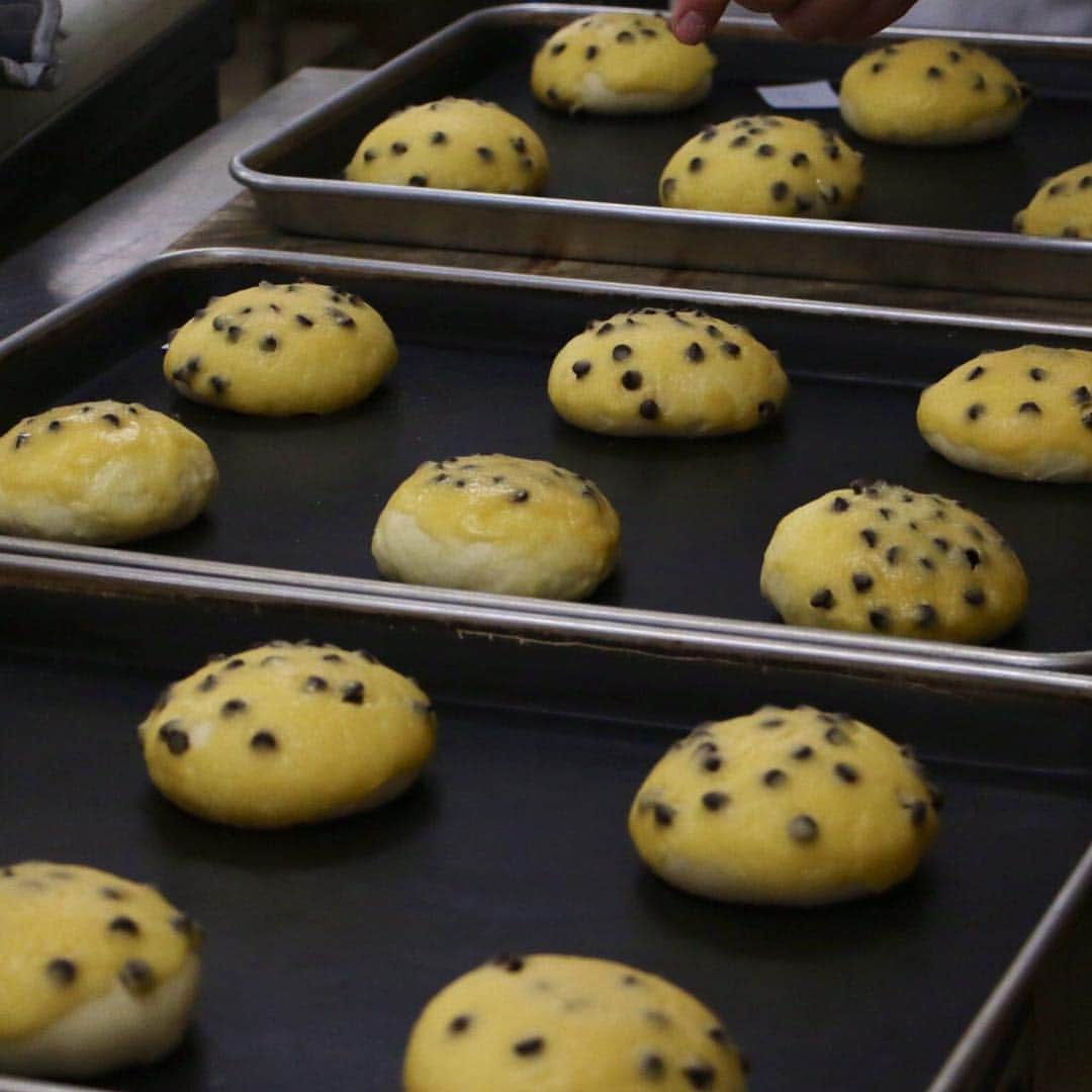 神戸製菓専門学校（公式）さんのインスタグラム写真 - (神戸製菓専門学校（公式）Instagram)「🌈オープンキャンパス🌈 パン実習はチョコチップメロンパン作り❗️ 「生地に触れる量の多さ」 「先生の指導の手厚さ」 を感じてもらえたのでは？✨😌 神戸製菓は入学後も担任制で 一人ひとりをしっかりサポート👌 🔶1年でパン職人を目指したいなら 「製パン本科」を要チェック⬇︎ kobeseika.ac.jp/subject/seipan/  #神戸製菓 #製パン本科 #神戸製菓専門学校 #メロンパン #チョコチップメロンパン #パン職人 #パン作り #パン作り初心者  #パン #パン職人になりたい  #パン作り好きな人と繋がりたい #パン屋 #パン屋巡り #パン屋開業 #instagood #pattistagram2019」4月7日 22時08分 - kobeseika_info