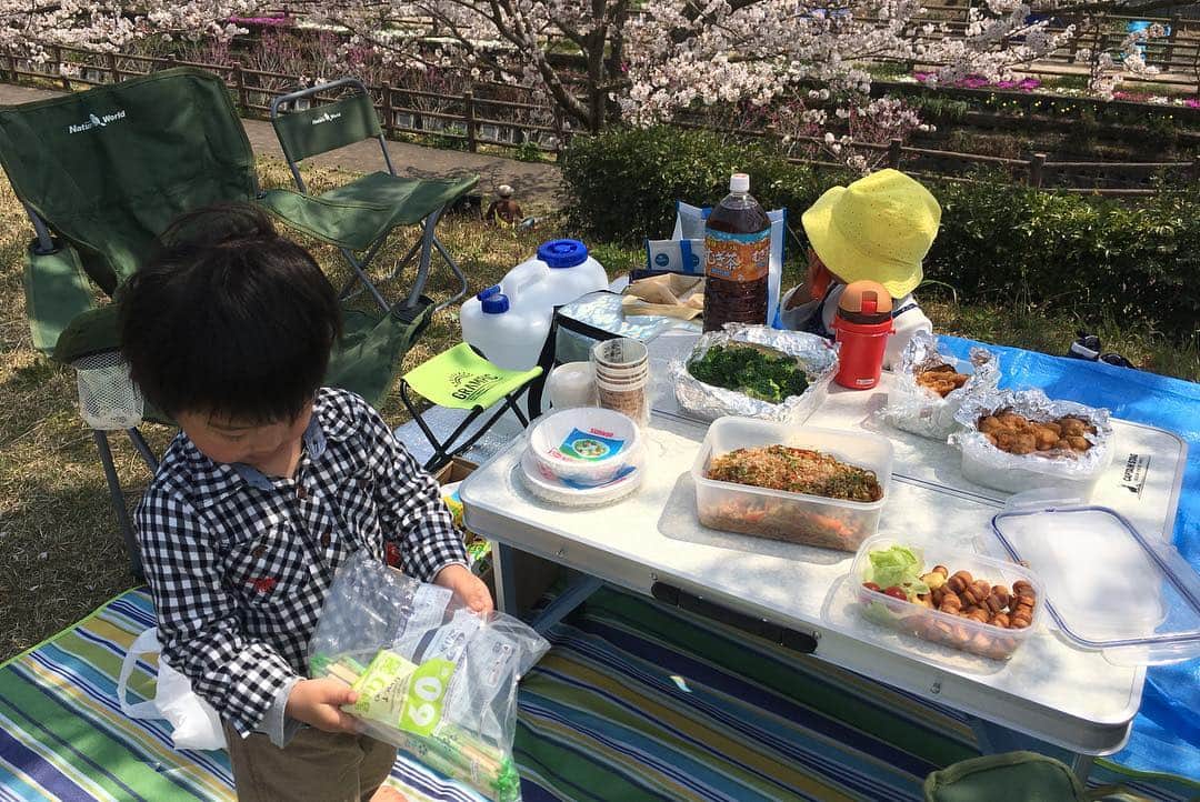 荒木麻里子さんのインスタグラム写真 - (荒木麻里子Instagram)「急遽決まった友人ファミリーとのお花見🌸満開で、お弁当にも飲み物にも花びらがヒラヒラ落ちてきてなかなか風情がありました🤗 . . . #平成最後のお花見  #桜 #花見弁当 #花見 #sakura #hanami #ohanami #春爛漫」4月7日 22時08分 - marilyn198612