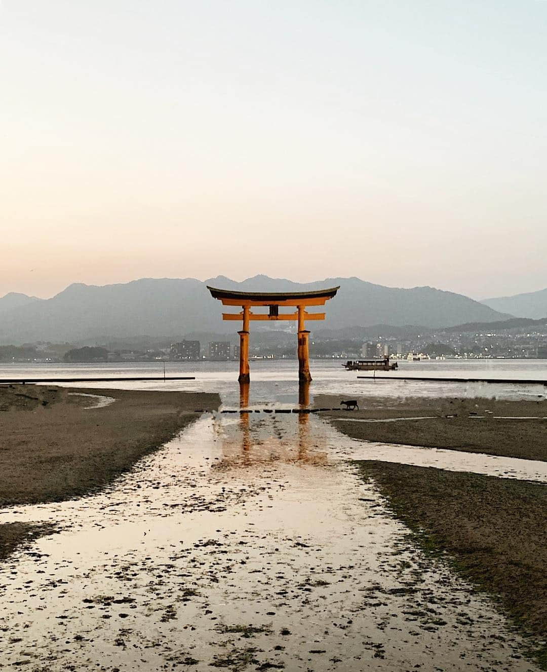 三浦大地さんのインスタグラム写真 - (三浦大地Instagram)「今回、広島に来たのは、この厳島神社で行われた柴咲コウさんのEARTH THE KO奉納ライブを観に。  こんな神聖で特別なライブの衣装を今回僕がデザインさせて頂きました。  世界の平和や環境を願うこのライブは終始ただならぬ空気感でまさに奉納。  ライブの終盤には潮が満ちてきて気が付いたら神社は海の中。  今回の衣装は桜。 宮島をこれでもかと彩る桜の精霊が降臨しました。  ライブと言っていいものなのか、それほど神聖なこの舞台、携われた事に感謝です。  #柴咲コウ #earththeko #奉納 #厳島神社 #宮島 #広島」4月7日 22時12分 - daichi_1127