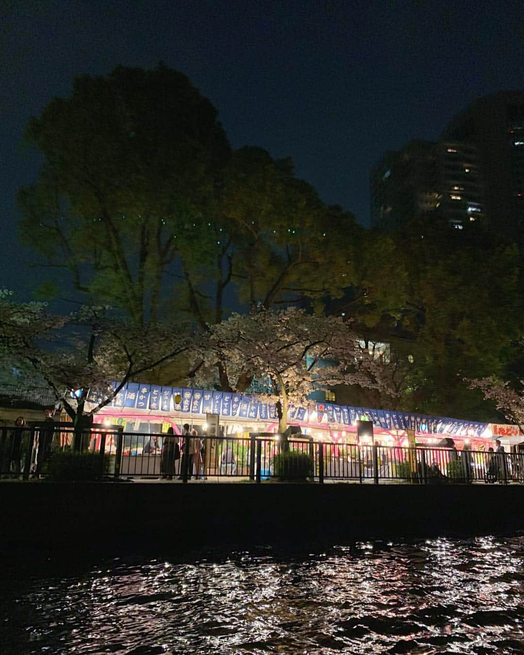 karen okajimaさんのインスタグラム写真 - (karen okajimaInstagram)「ㅤㅤㅤ ㅤㅤㅤ お花見クルージング🚢 夜桜も綺麗やったぁ🌸🌸 中之島から天満橋、桜ノ宮、大阪城とか 色々巡りながらのイタリアン😍 ㅤㅤㅤ  love Centralさんありがとうございました❤️ ㅤㅤㅤ #KPGRIVERCRUISE #夜桜」4月7日 22時14分 - karenokajima0318